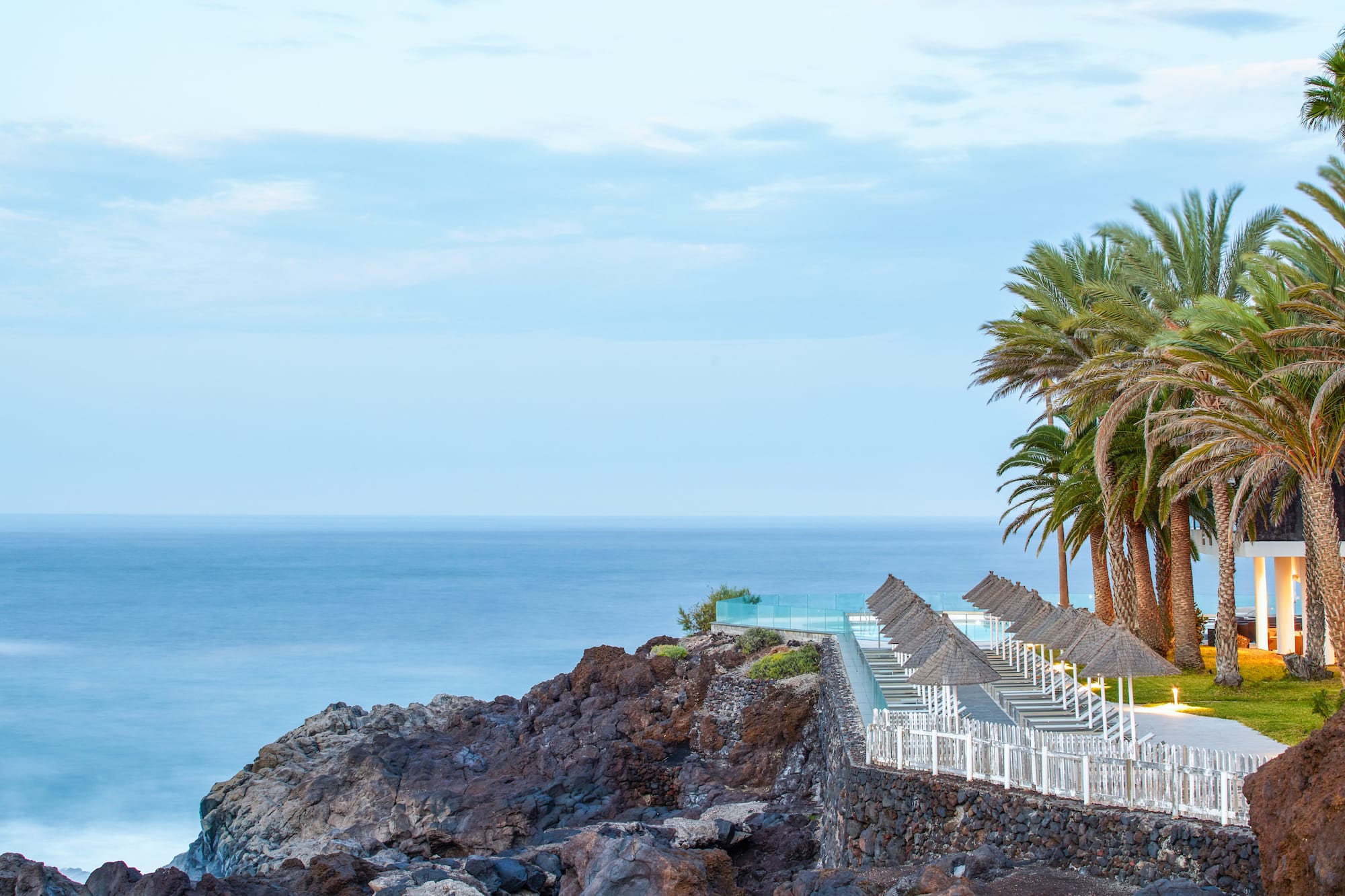 Coastal resort with infinity pool, palm trees, and sun loungers overlooking the ocean.