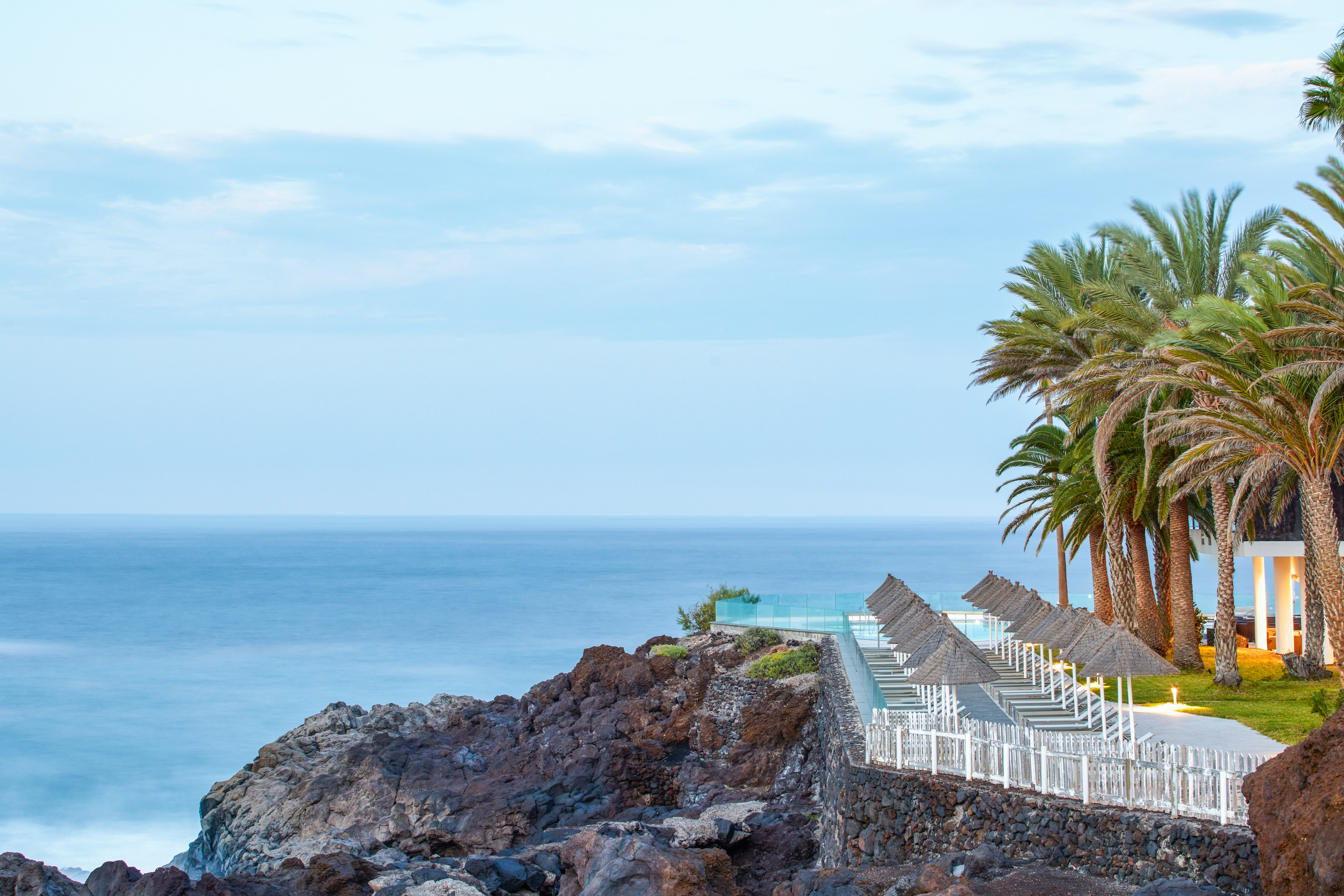 Coastal resort with infinity pool, palm trees, and sun loungers overlooking the ocean.