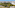 a white city with trees and buildings