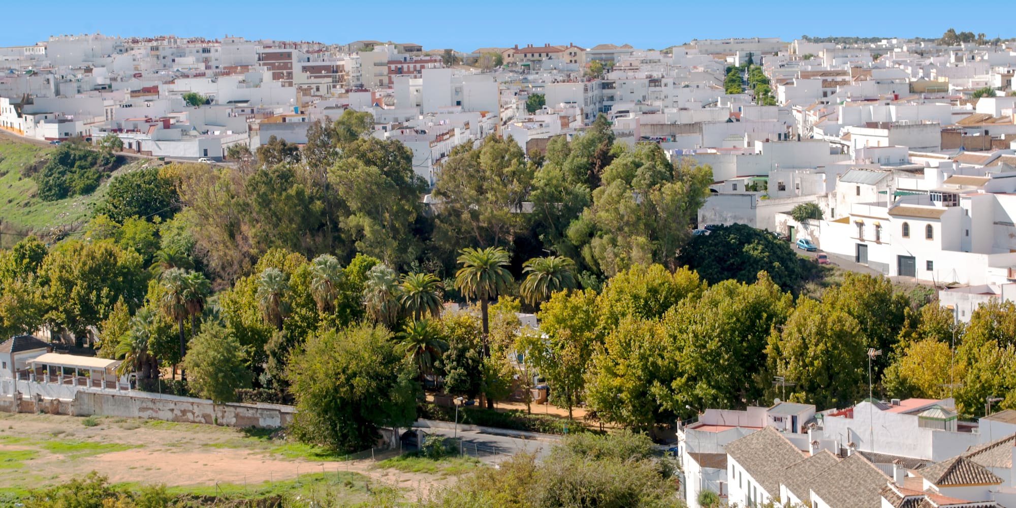 a city with trees and buildings