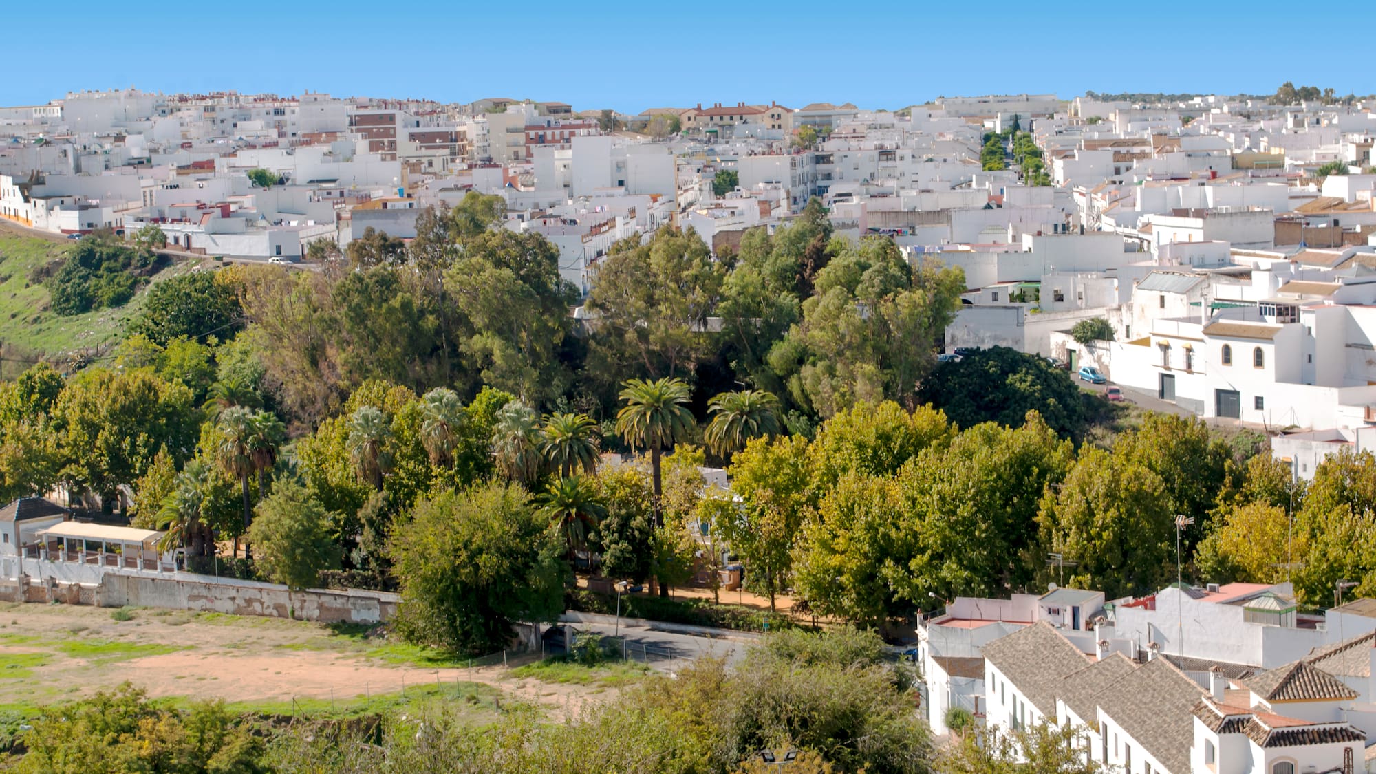 a white city with trees and buildings