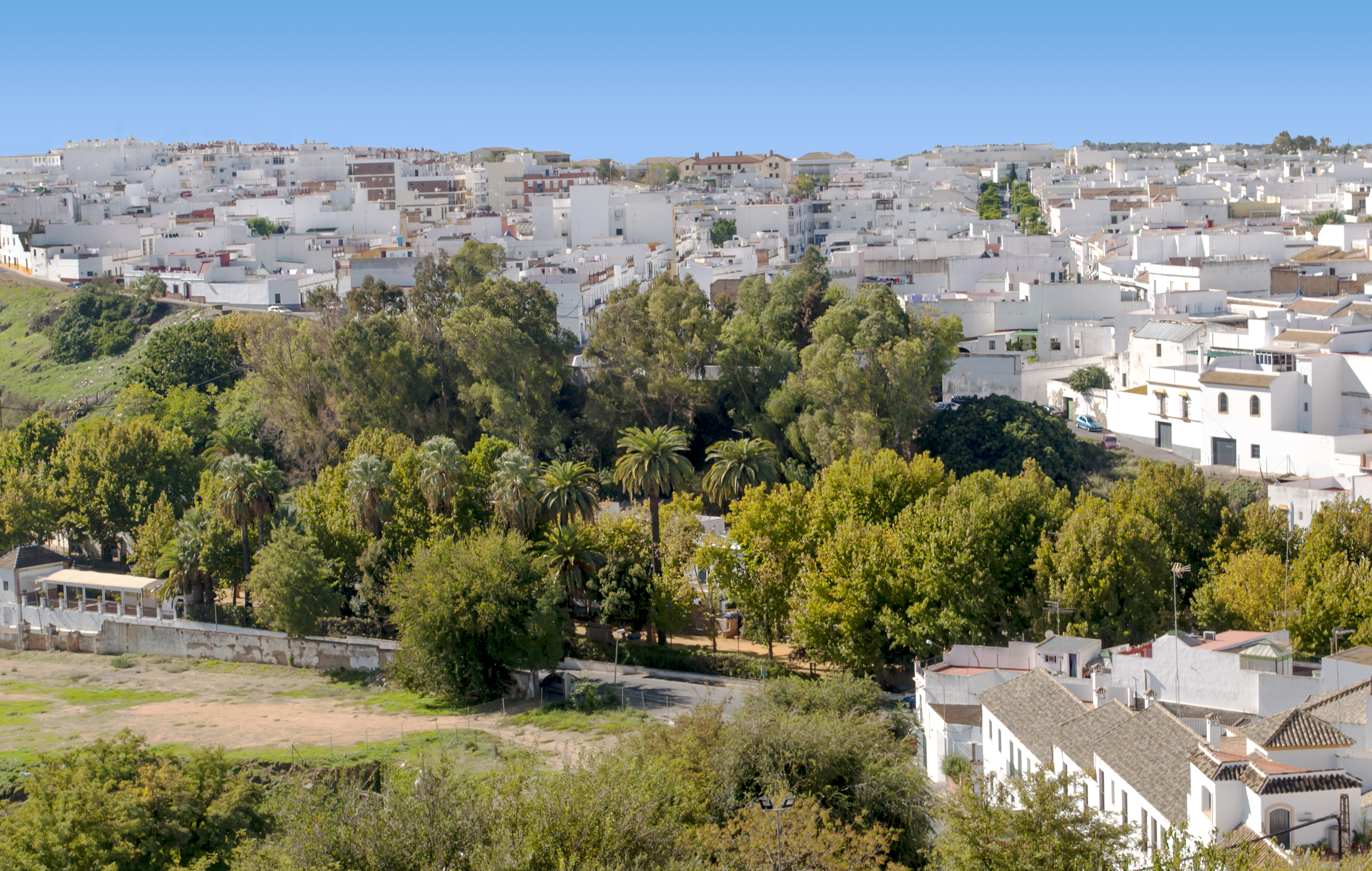 a white city with trees and buildings