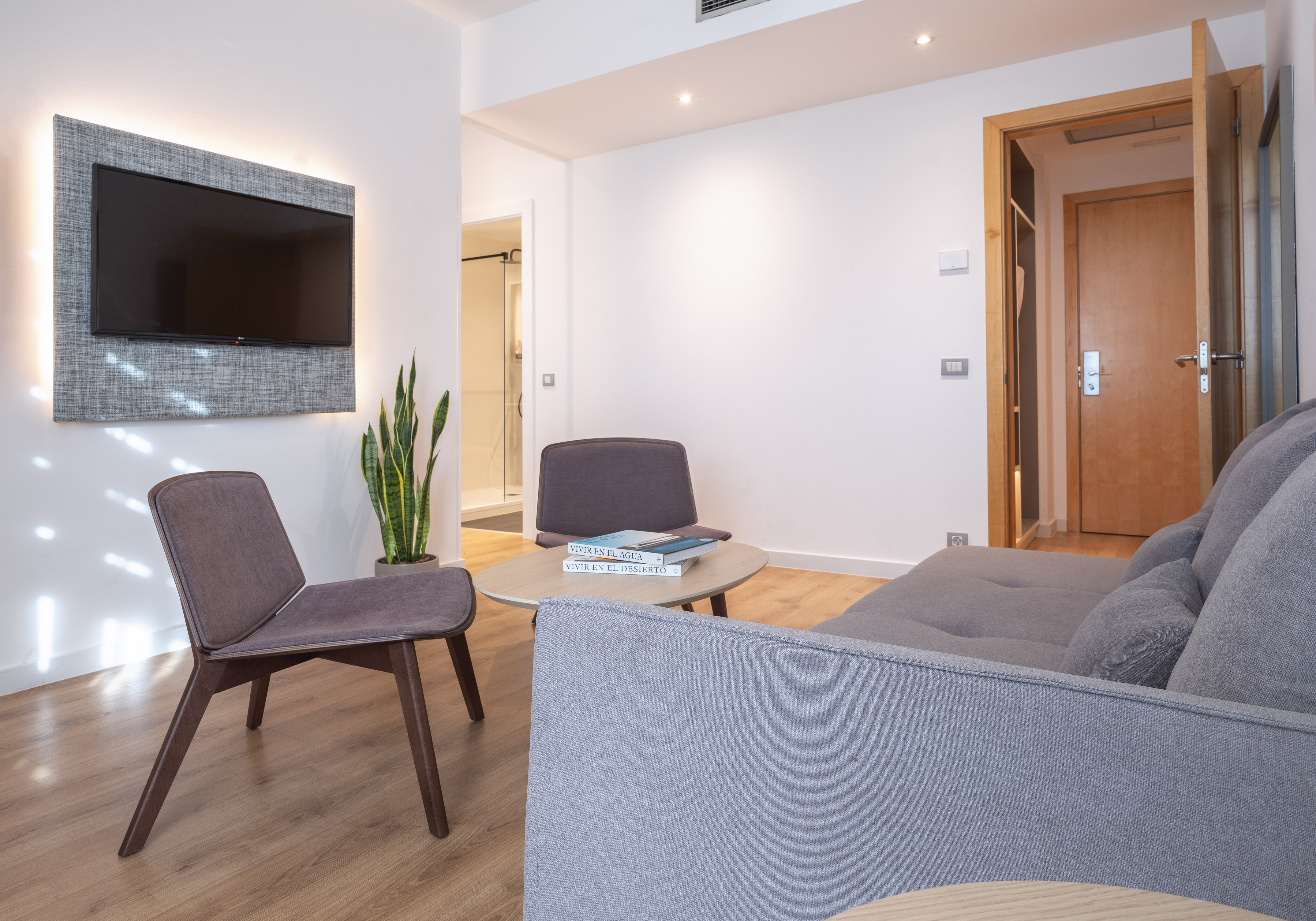 Contemporary studio apartment living room with grey sofa, wall TV, wood flooring.