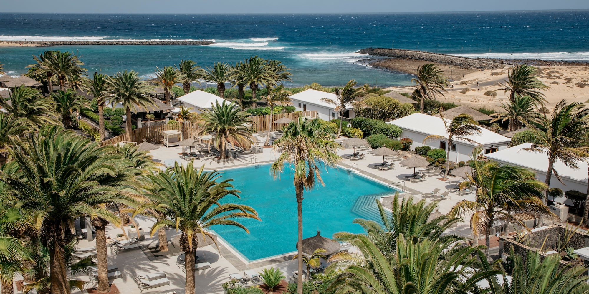 a swimming pool surrounded by palm trees and a body of water