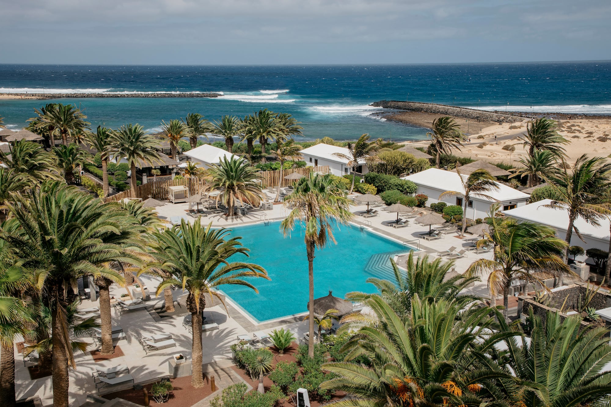 a swimming pool surrounded by palm trees and a body of water