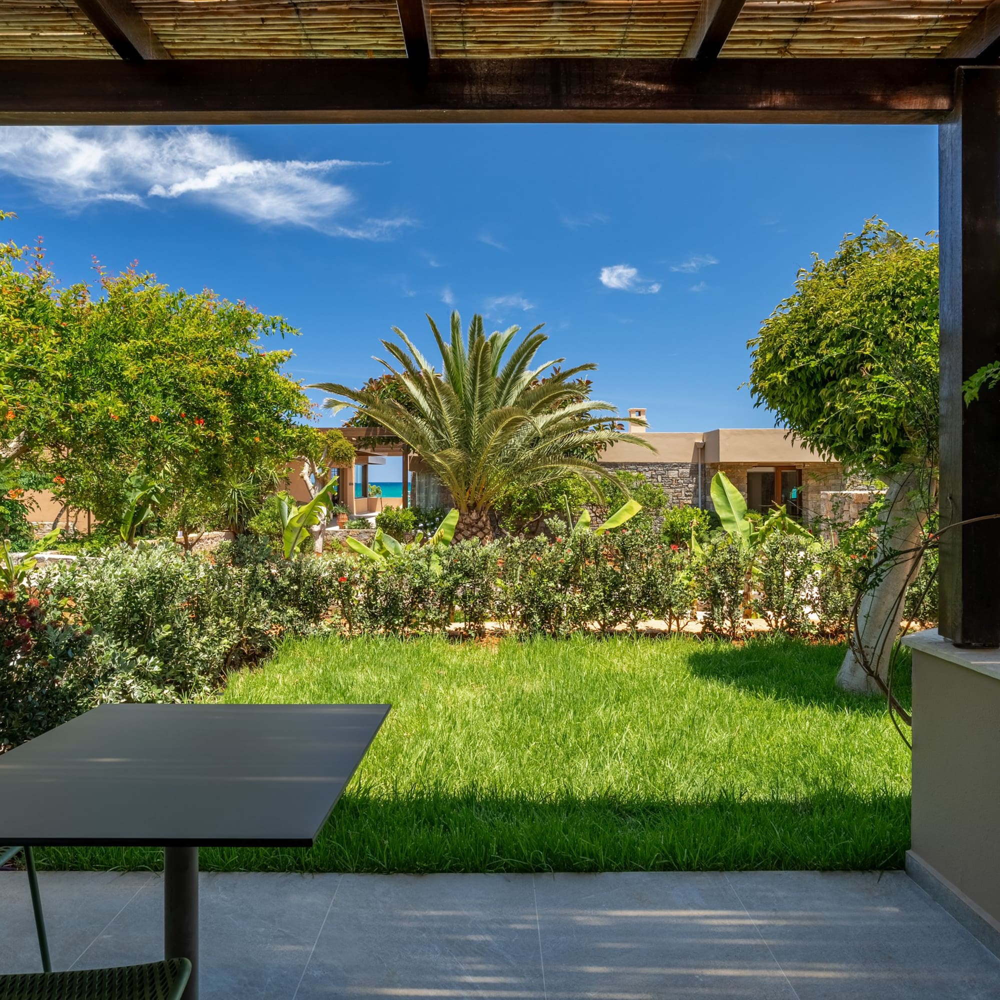 Resort patio with green garden, palm tree, and sea view under a blue sky.