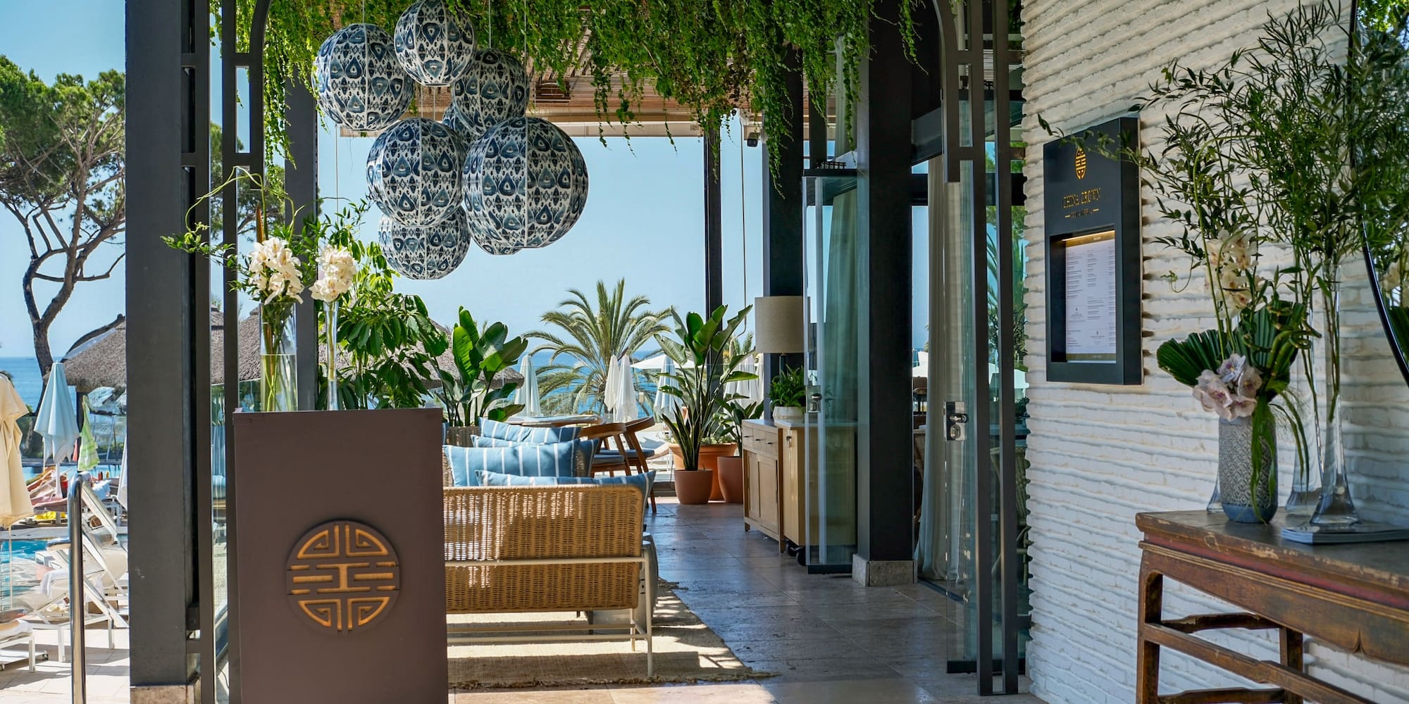 a patio with a green plant from the ceiling