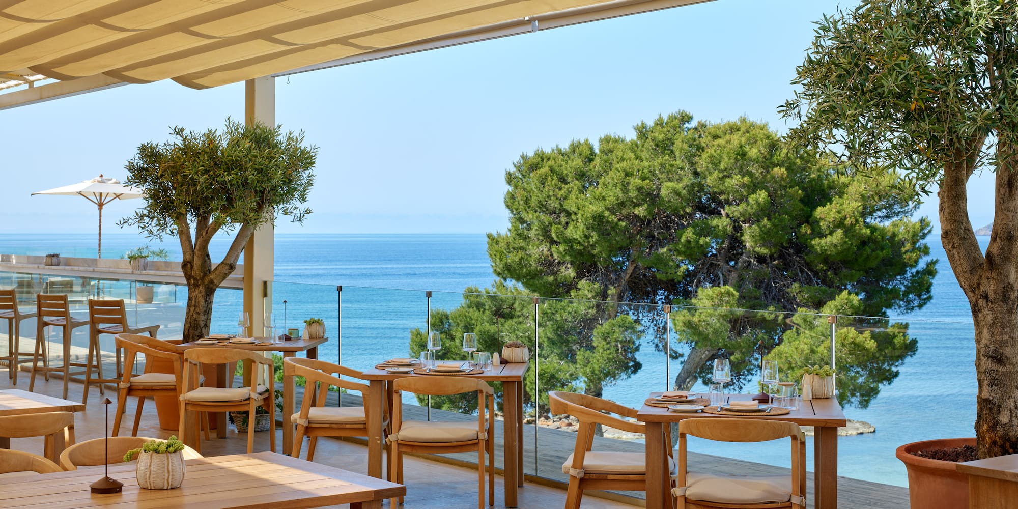 Coastal restaurant terrace with ocean view, wooden tables, and olive trees.