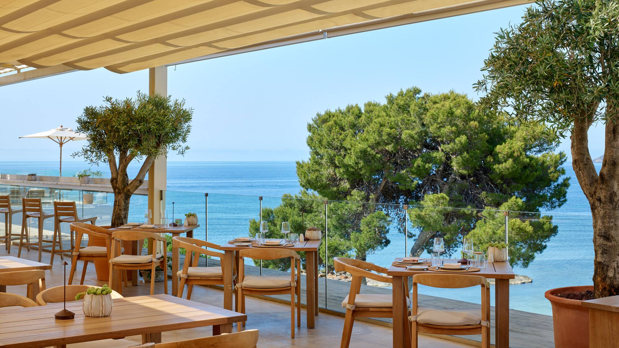 Coastal restaurant terrace with ocean view, wooden tables, and olive trees.