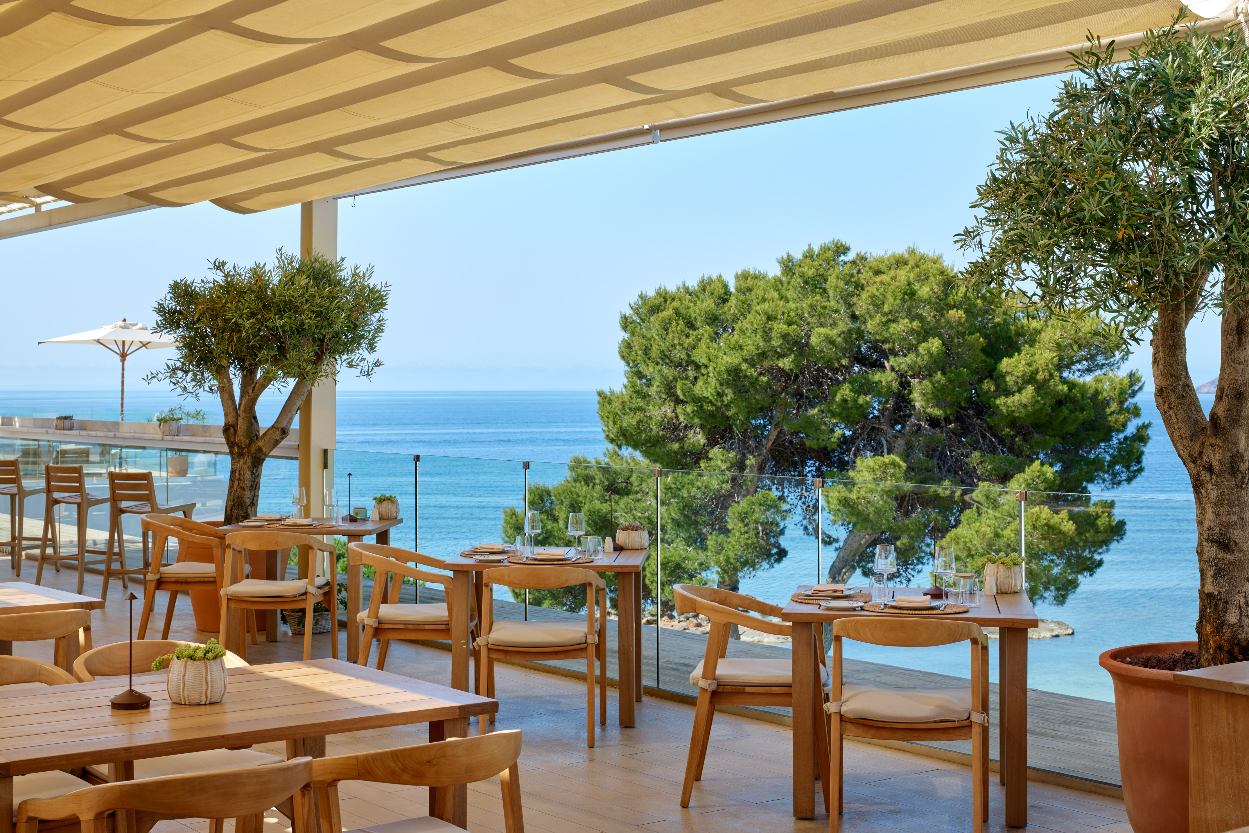 Coastal restaurant terrace with ocean view, wooden tables, and olive trees.