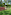 Girl in conical hat harvesting vegetables in a lush tropical garden.