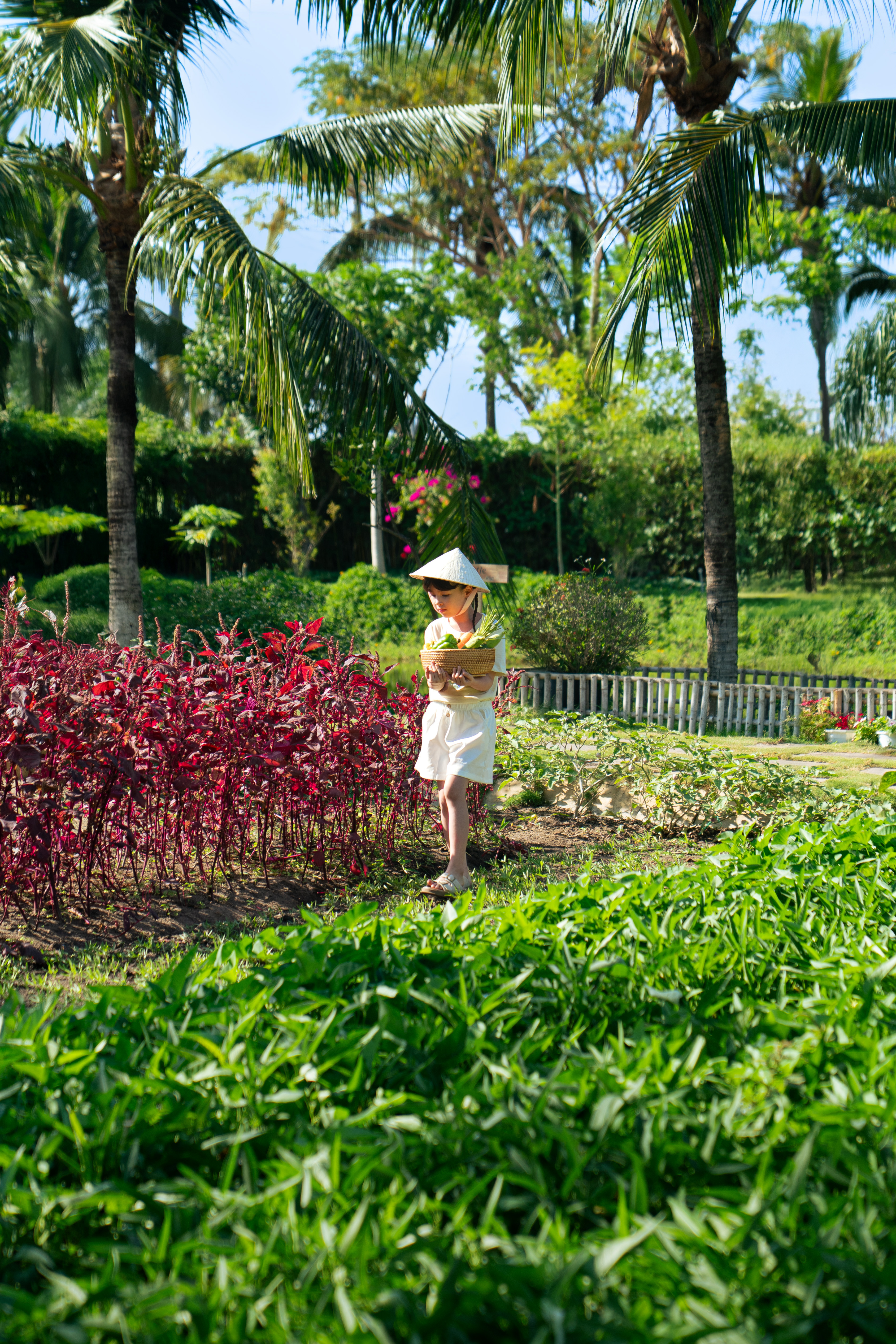 Girl in conical hat harvesting vegetables in a lush tropical garden.