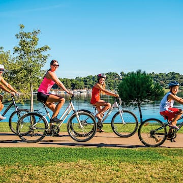 a group of people riding bicycles