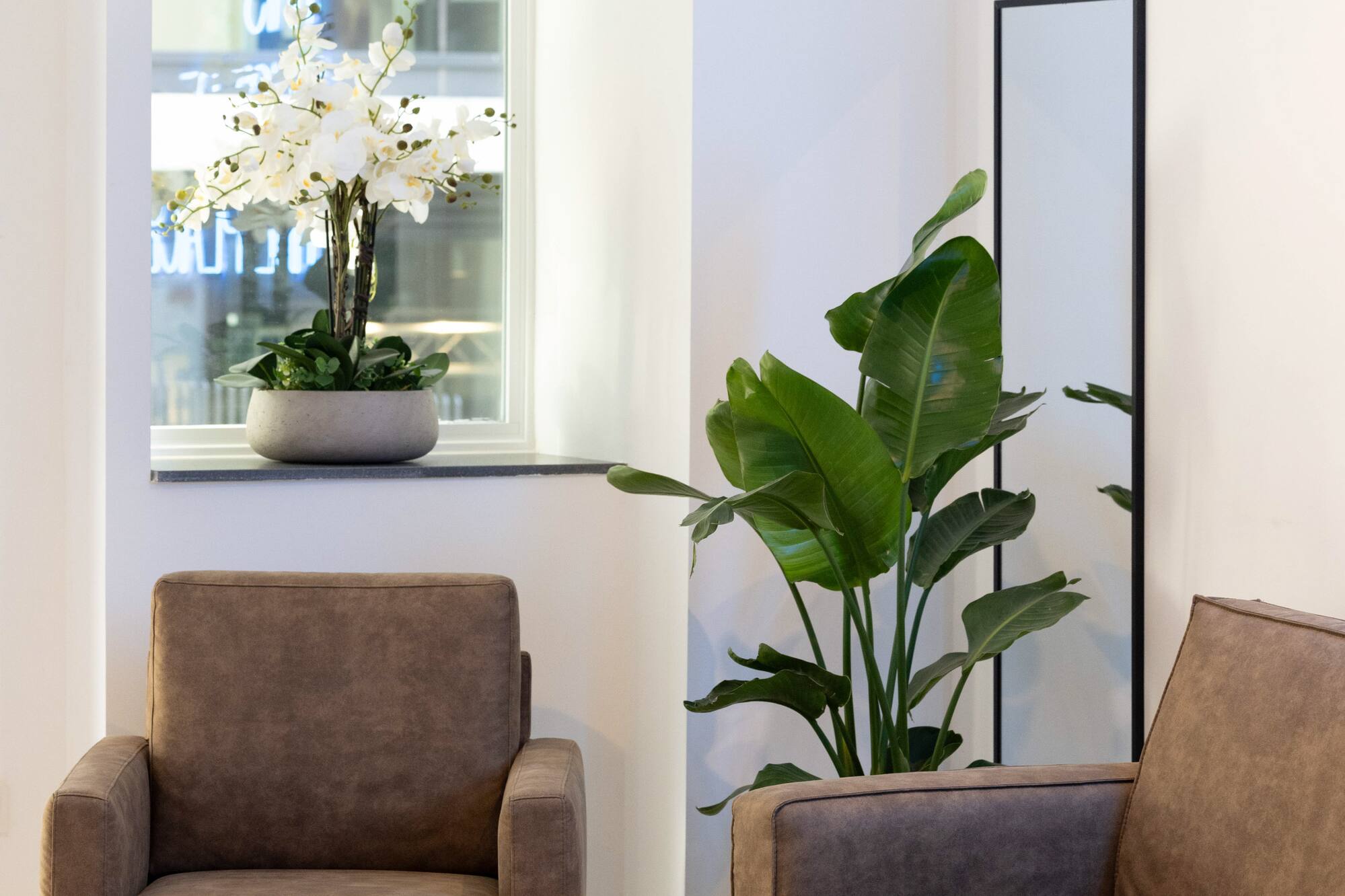 Modern lobby interior with brown seating, window orchids, large plant, marble floor.
