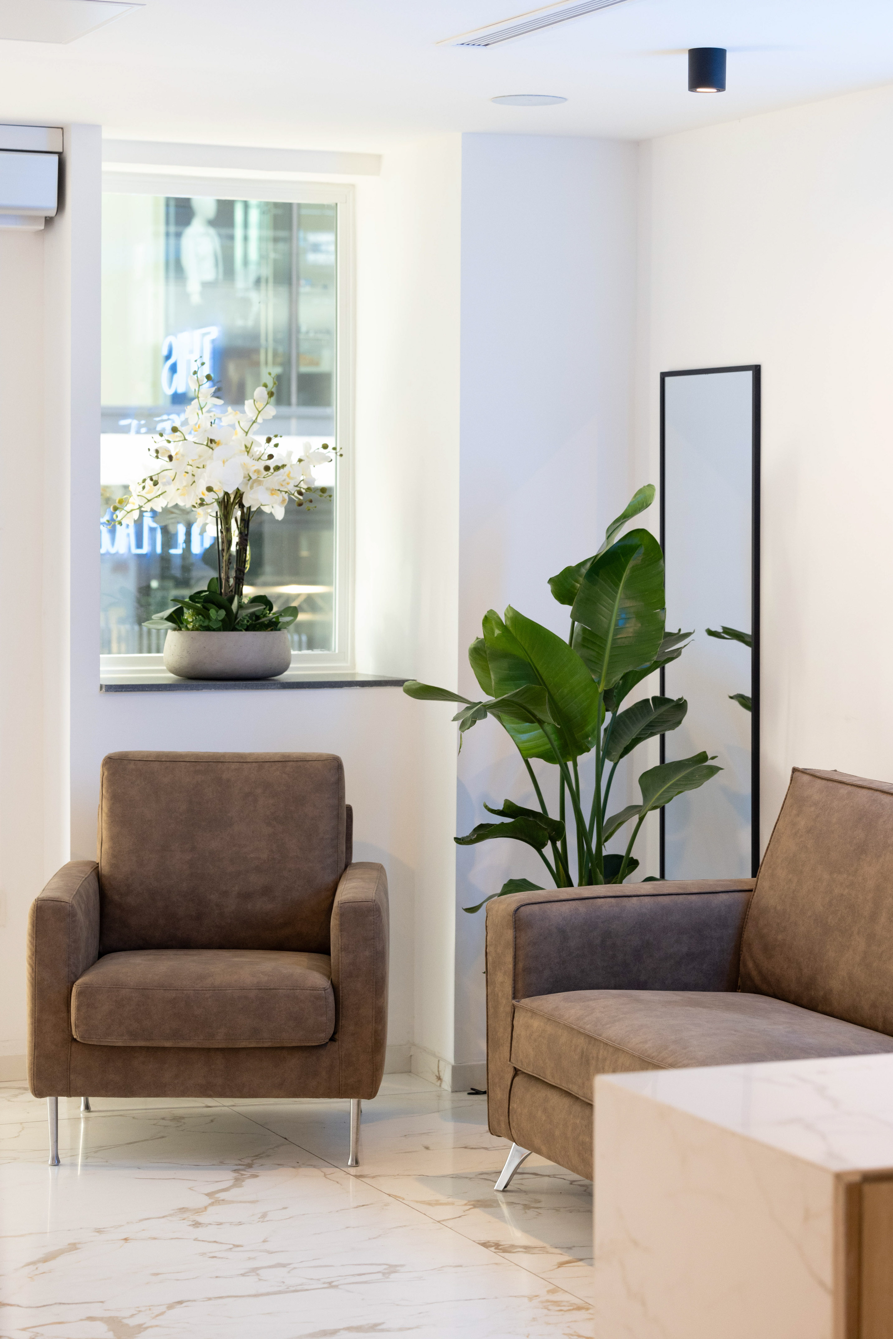 Modern lobby interior with brown seating, window orchids, large plant, marble floor.