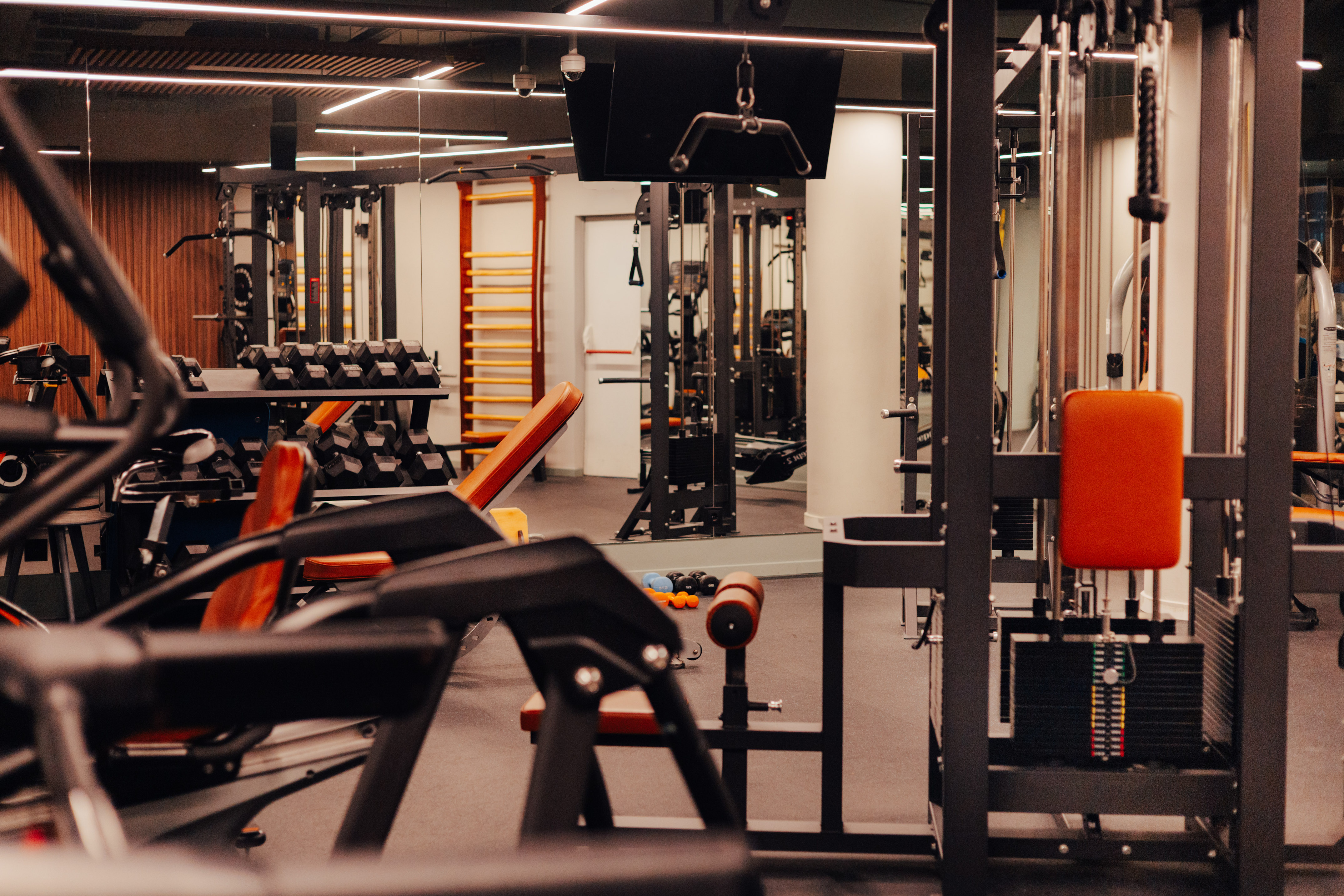Modern gym interior with weight machines, dumbbell racks, and fitness benches.
