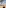 Woman in yoga pose on tropical beach with tall palm trees.