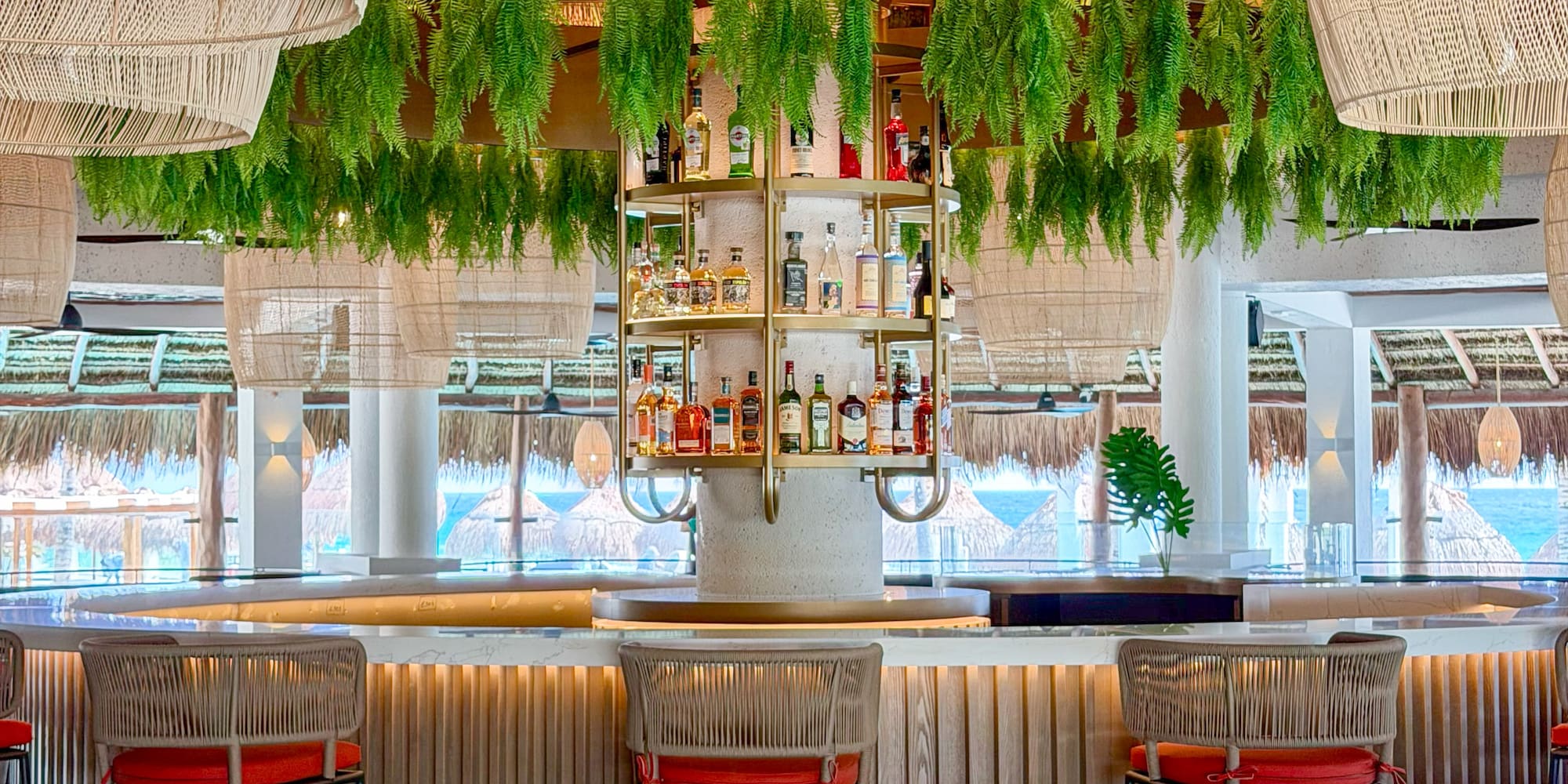 Modern tropical bar with hanging ferns, liquor display, and ocean view.