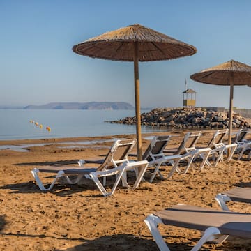 a beach with chairs and umbrellas