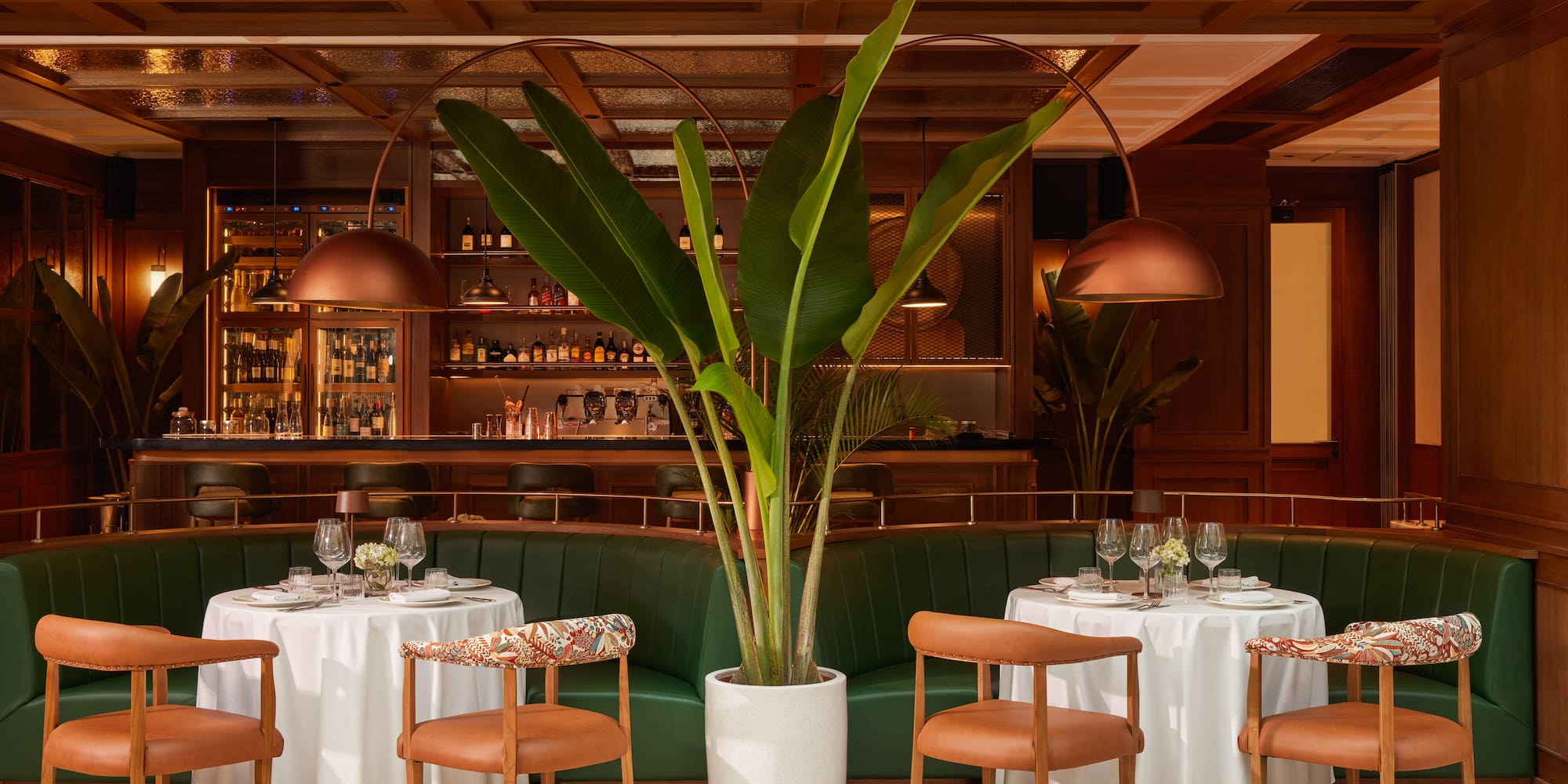 a table set up with a plant in front of it