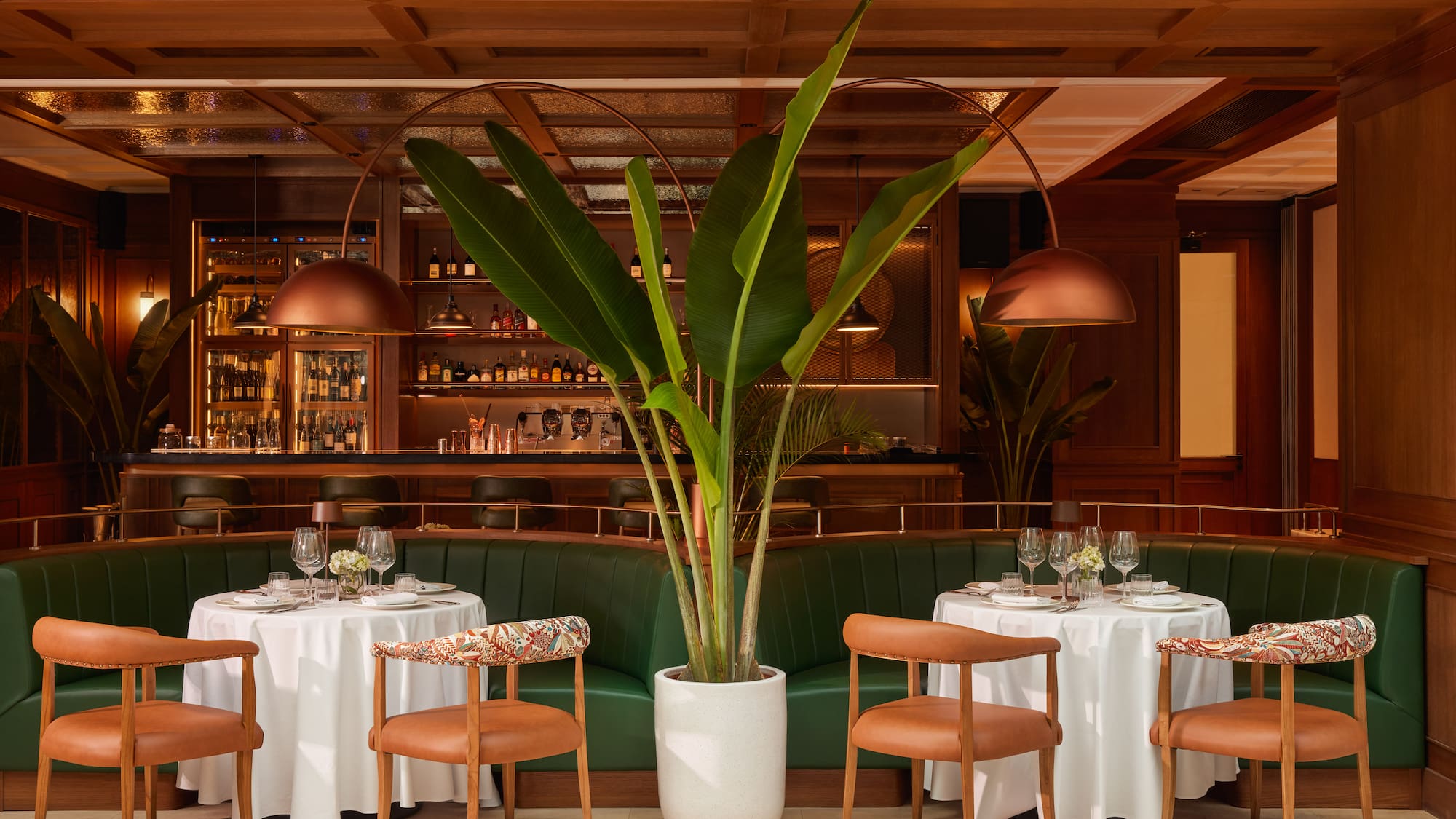 a table set up with a plant in front of it