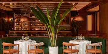 a table set up with a plant in front of it