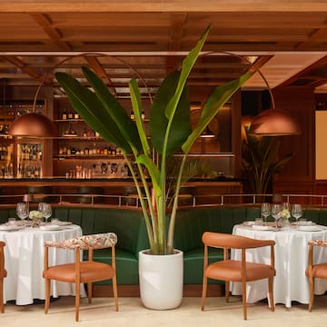 a table set up with a plant in front of it