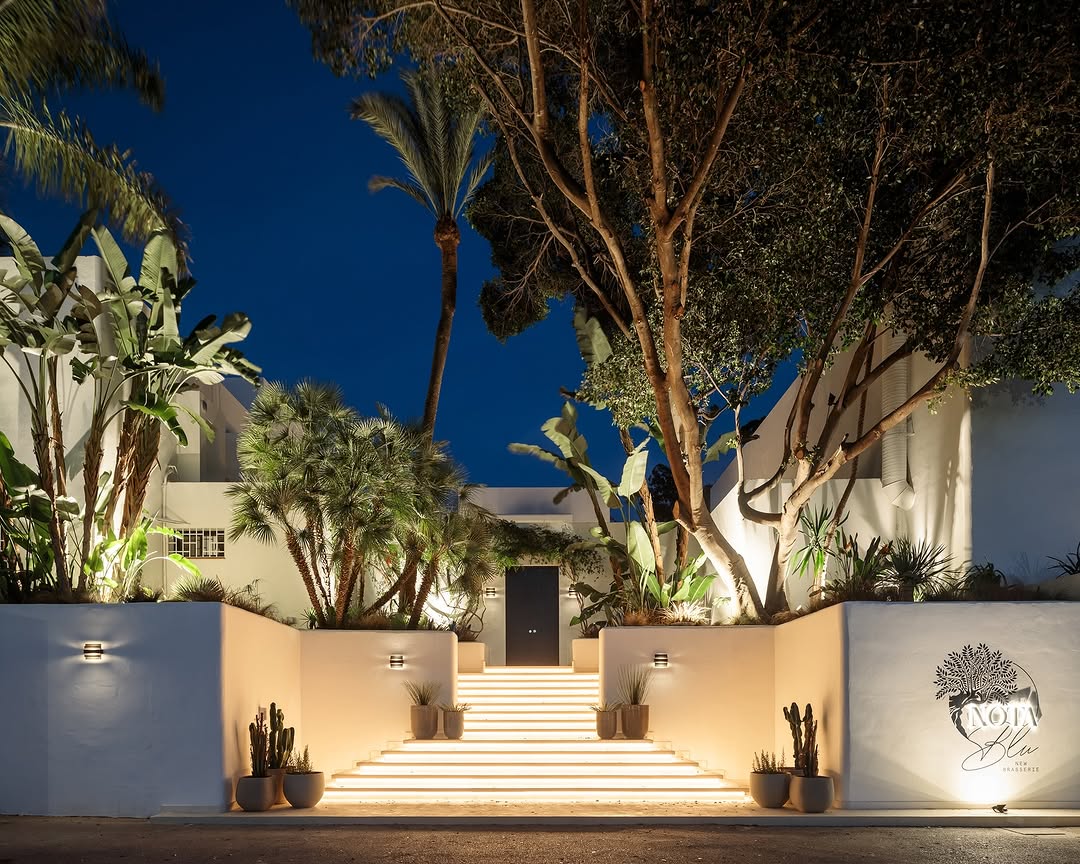 a white building with trees and stairs