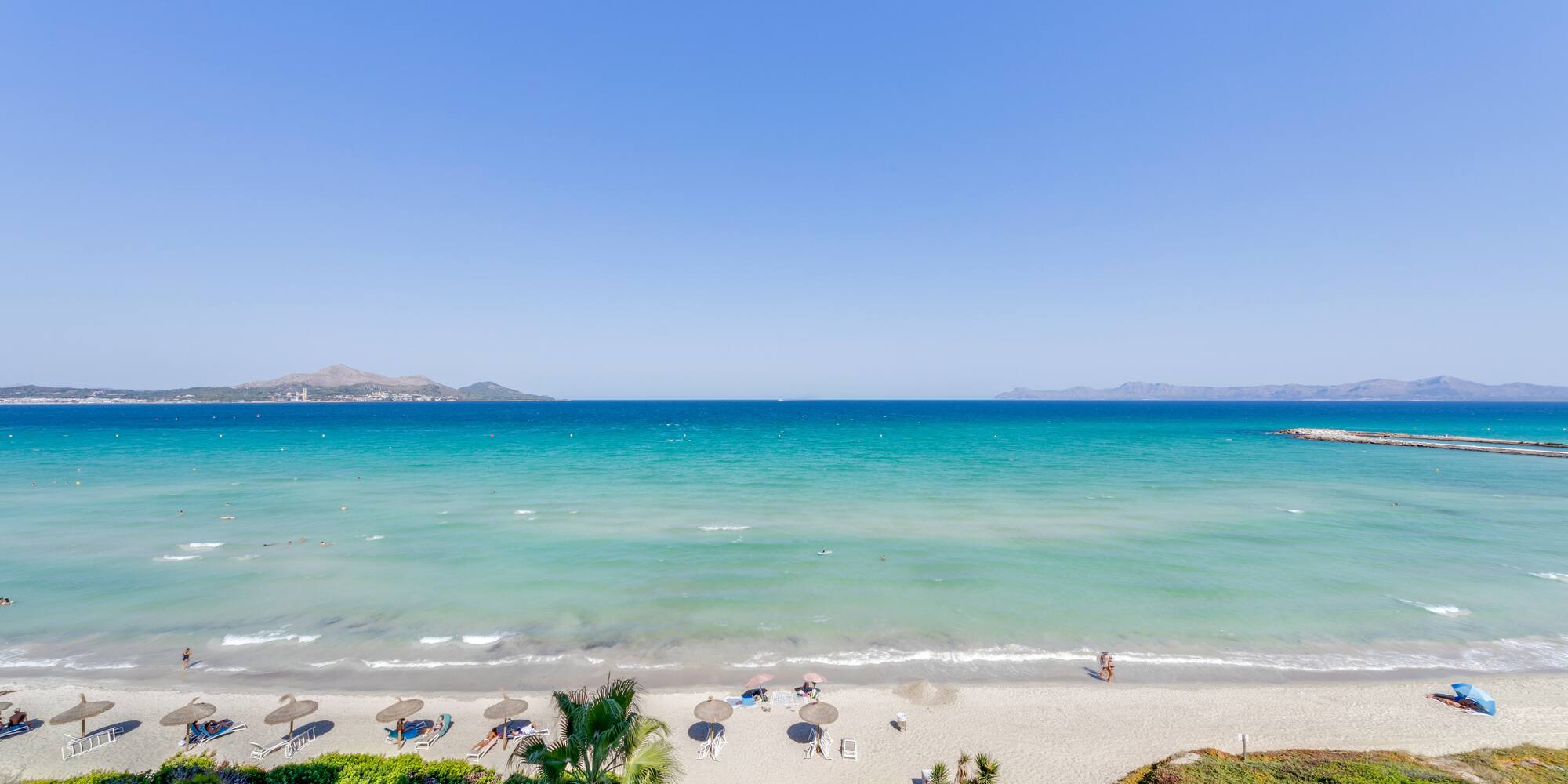 a beach with umbrellas and palm trees