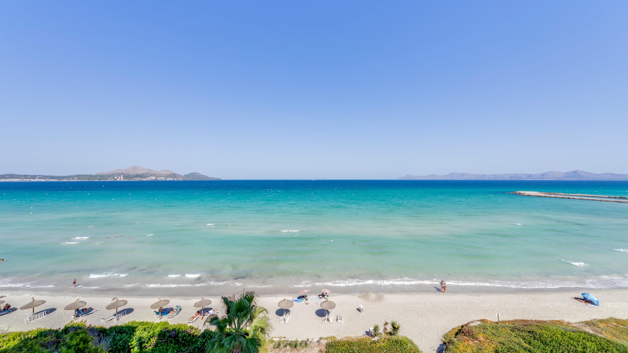 a beach with umbrellas and palm trees