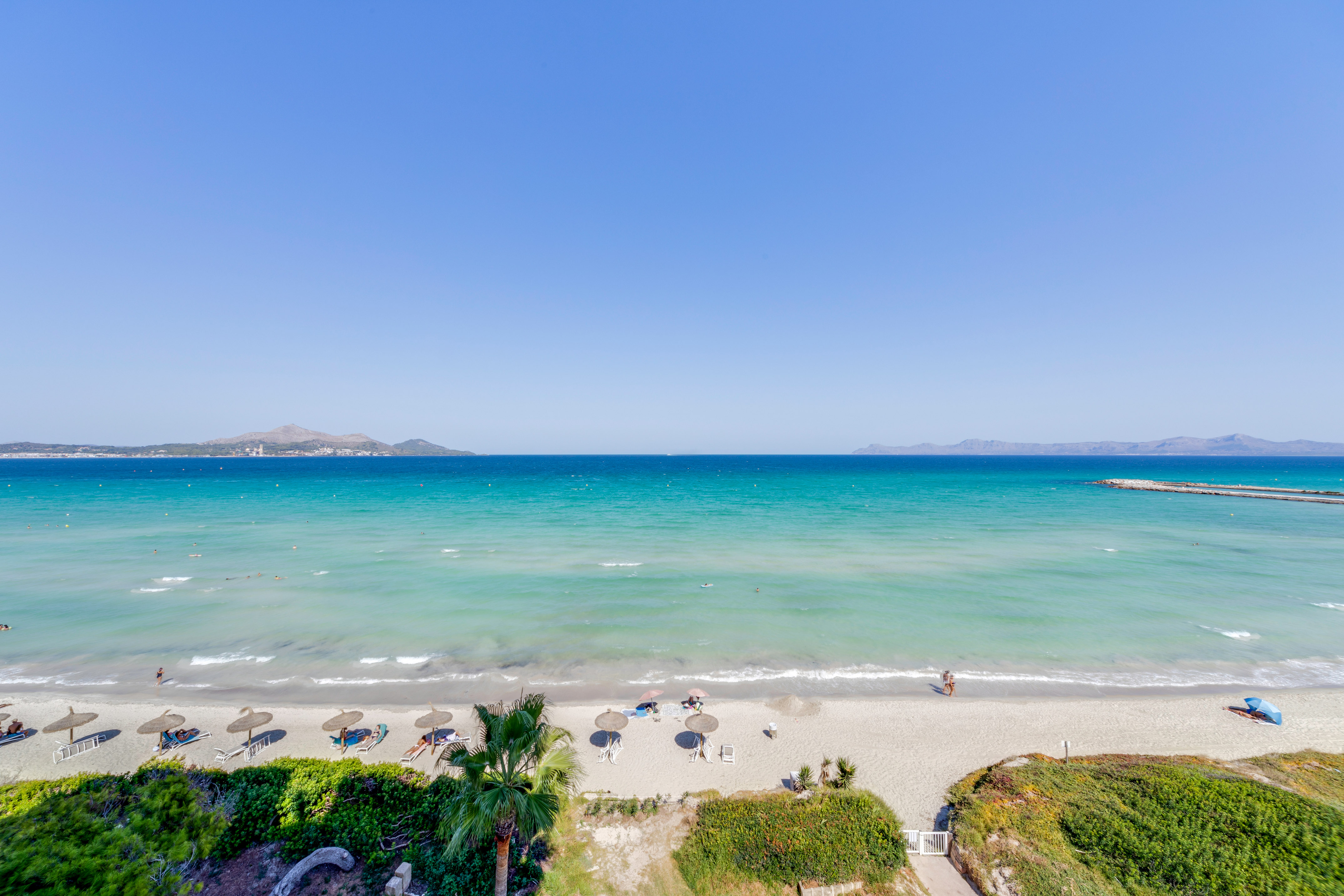a beach with umbrellas and palm trees