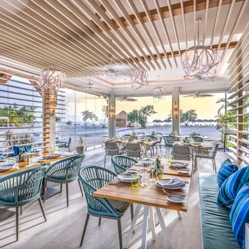 a restaurant with tables and chairs