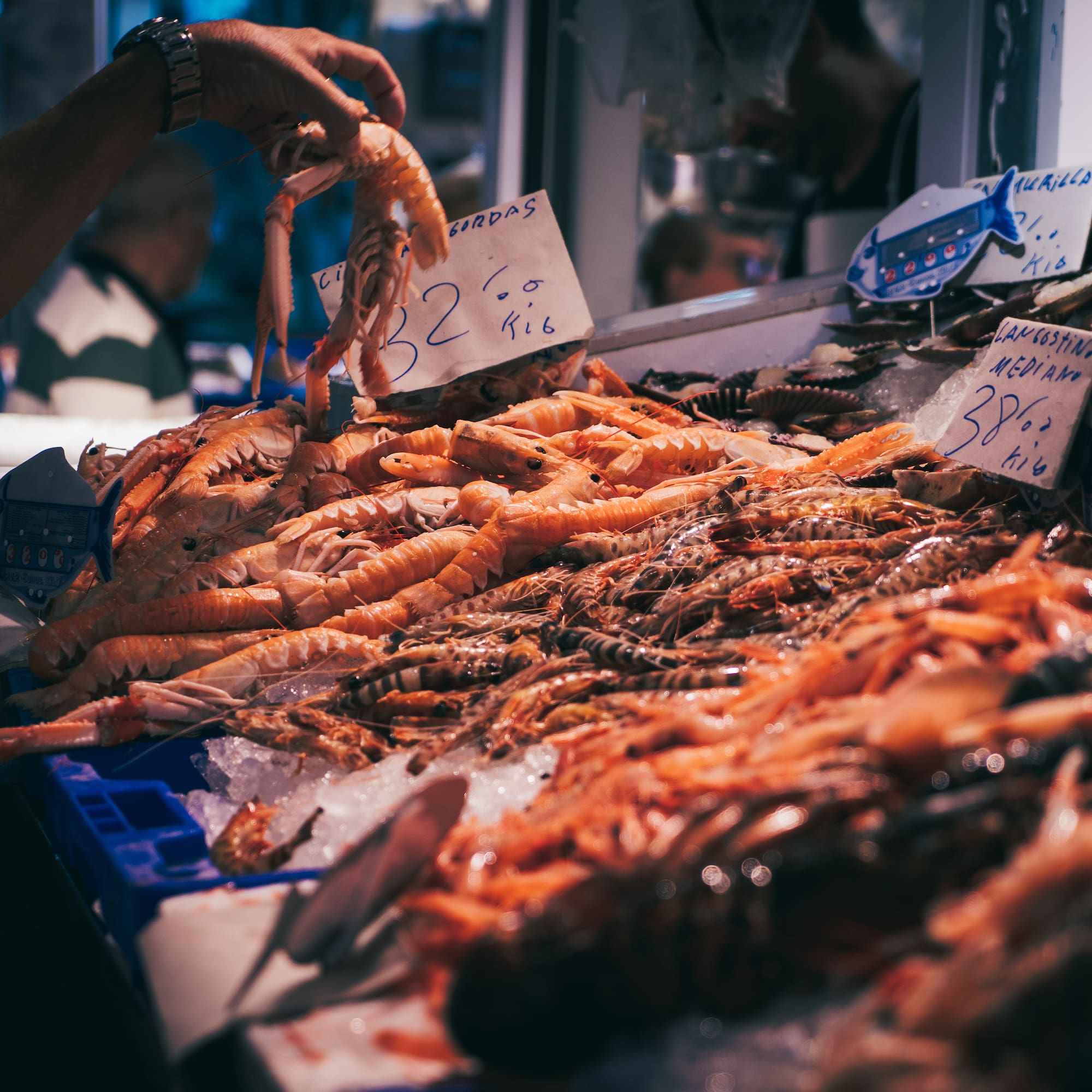 a seafood on display at a market