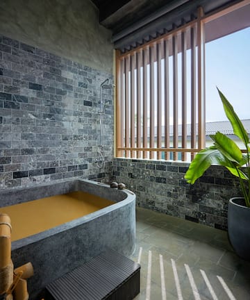 a bathroom with a tub and a plant