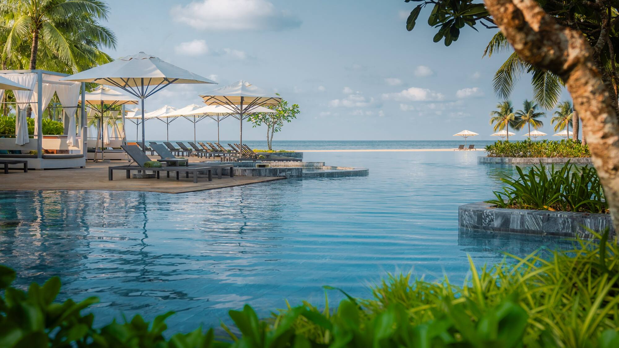 Luxury infinity pool at an oceanfront tropical resort with palm trees and lounge chairs.