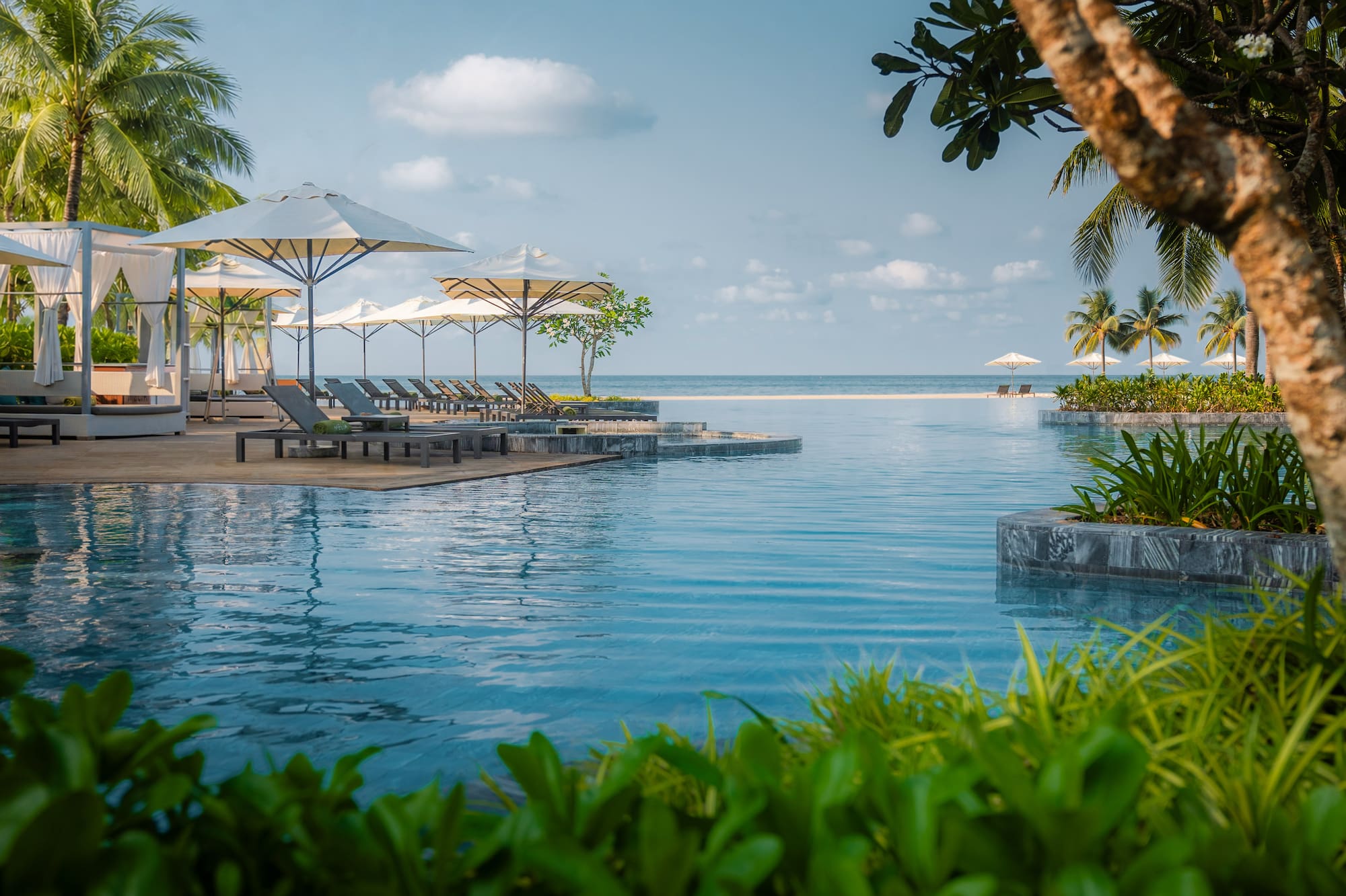 Luxury infinity pool at an oceanfront tropical resort with palm trees and lounge chairs.