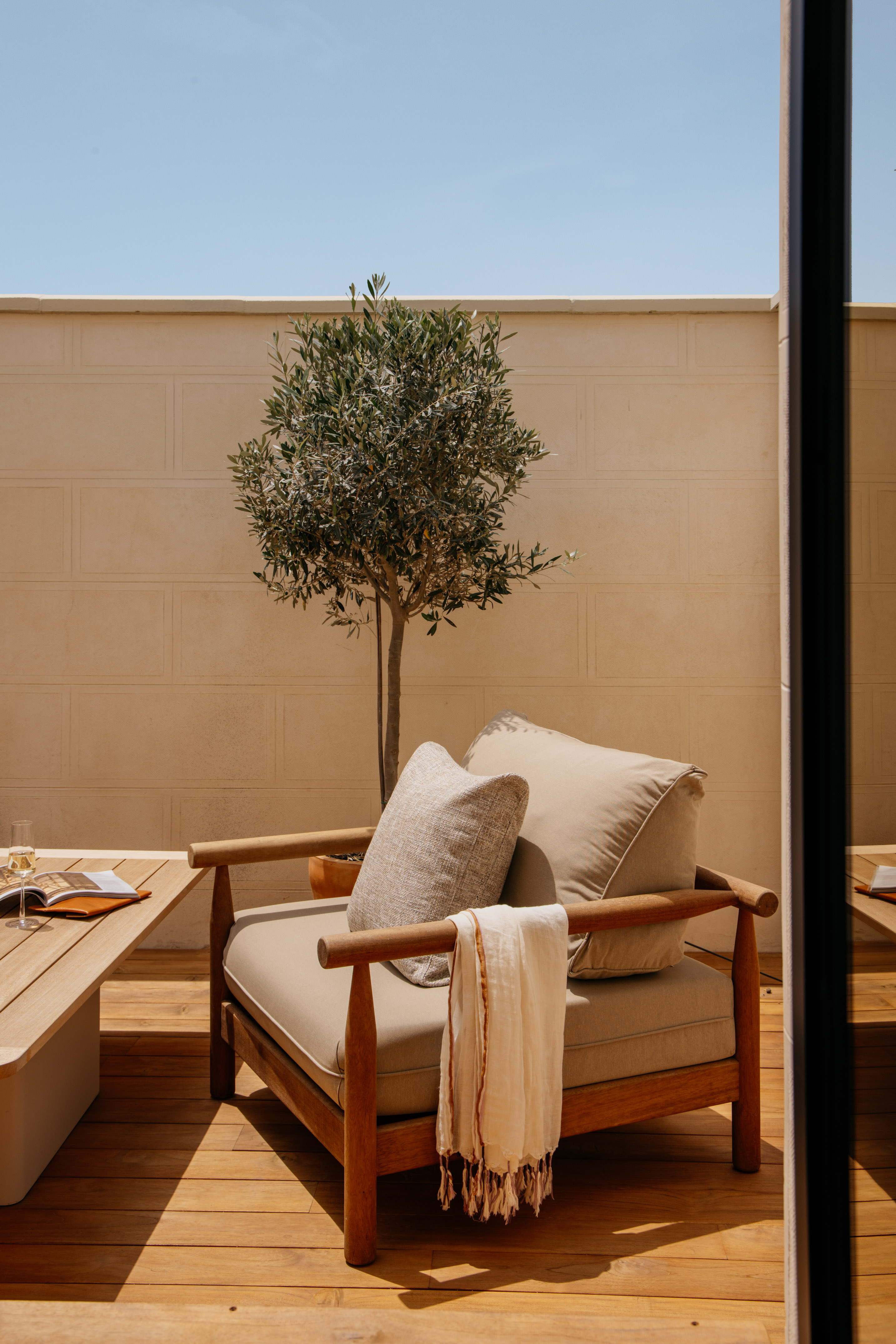Modern outdoor armchair on wooden deck with olive tree on sunny patio.