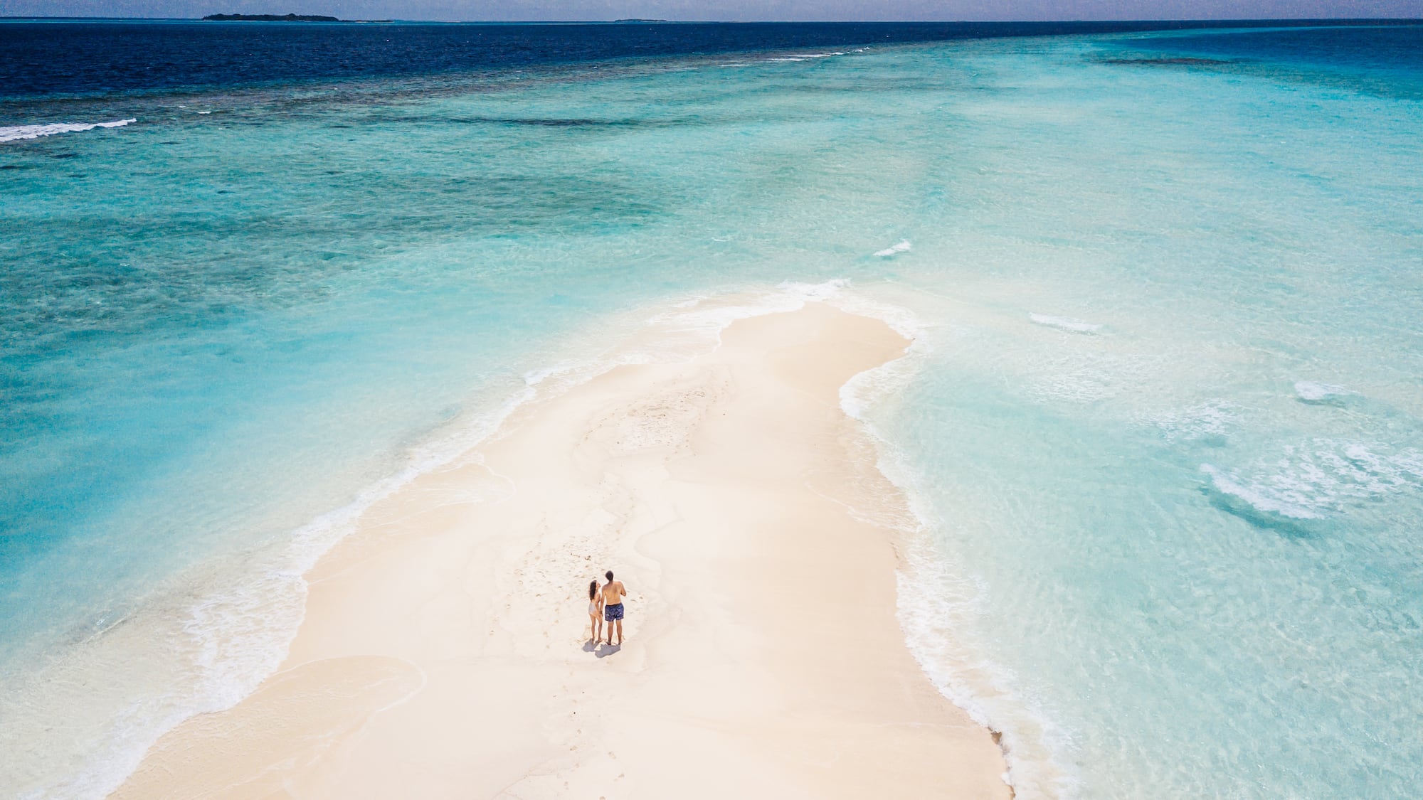 a couple of people on a beach