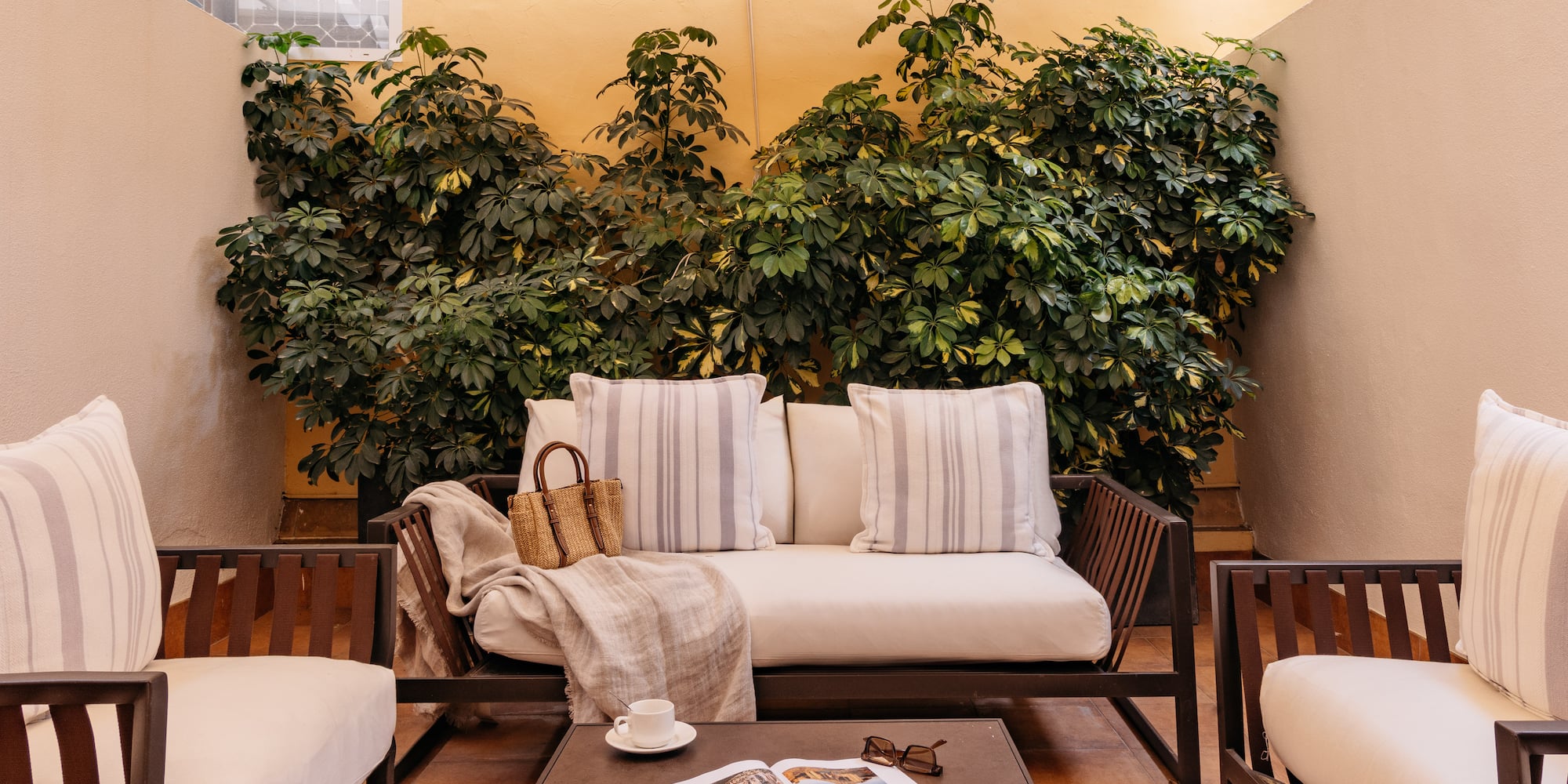 Terraza con sofá, sillones, mesa de centro y plantas. Espacio exterior.