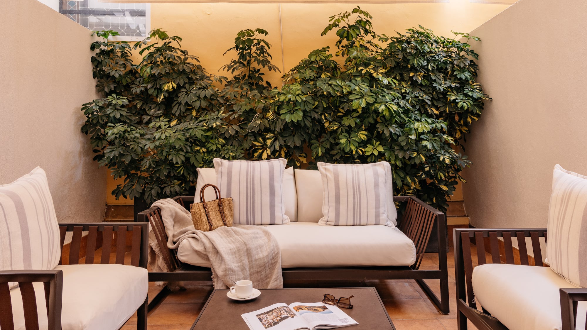 Terraza con sofá, sillones, mesa de centro y plantas. Espacio exterior.
