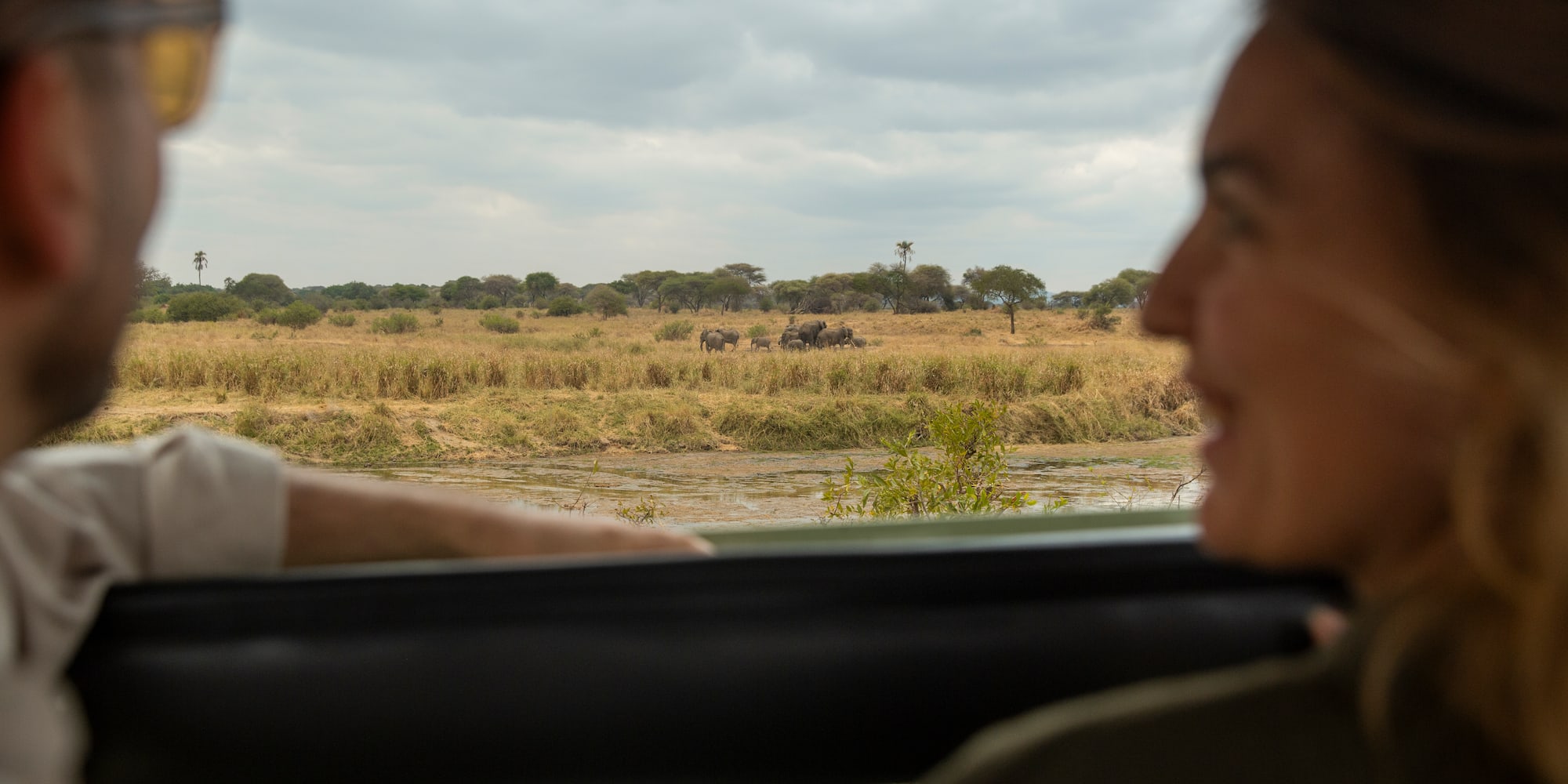 a man and woman looking out a window at a field of animals