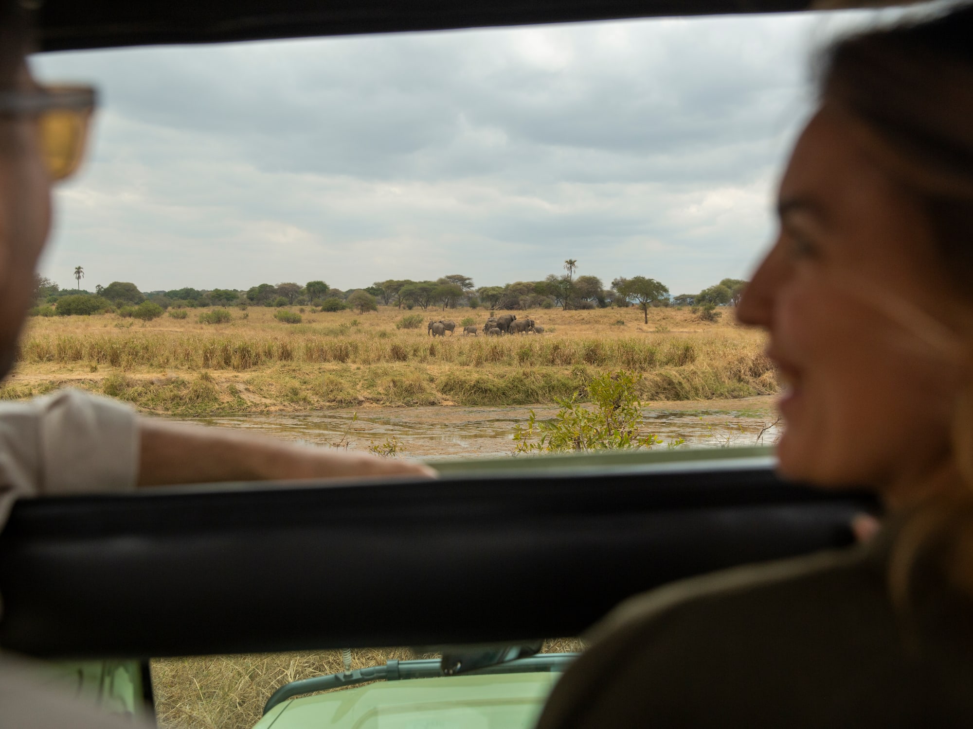 a man and woman looking out a window at a field of animals