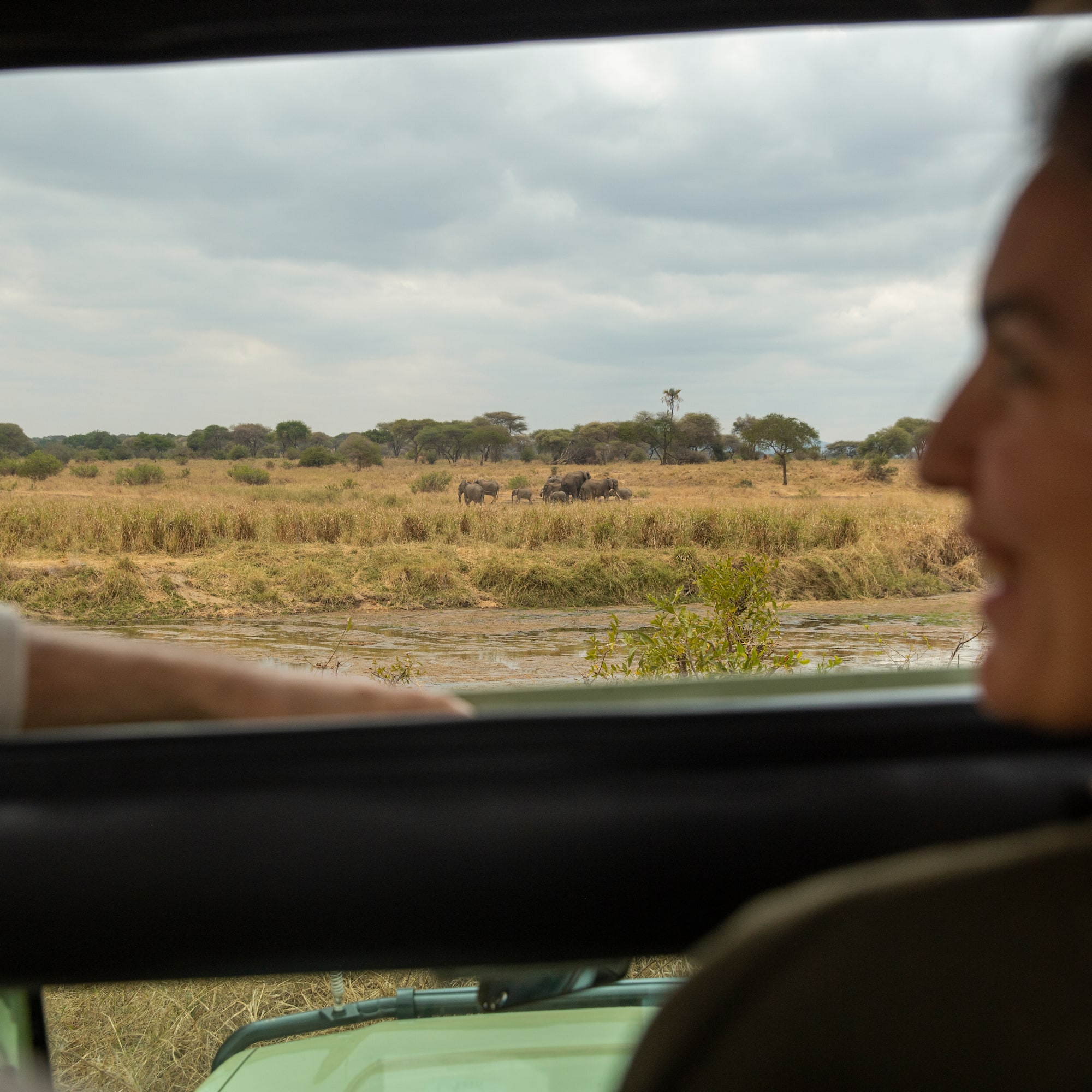 a man and woman looking out a window at a field of animals