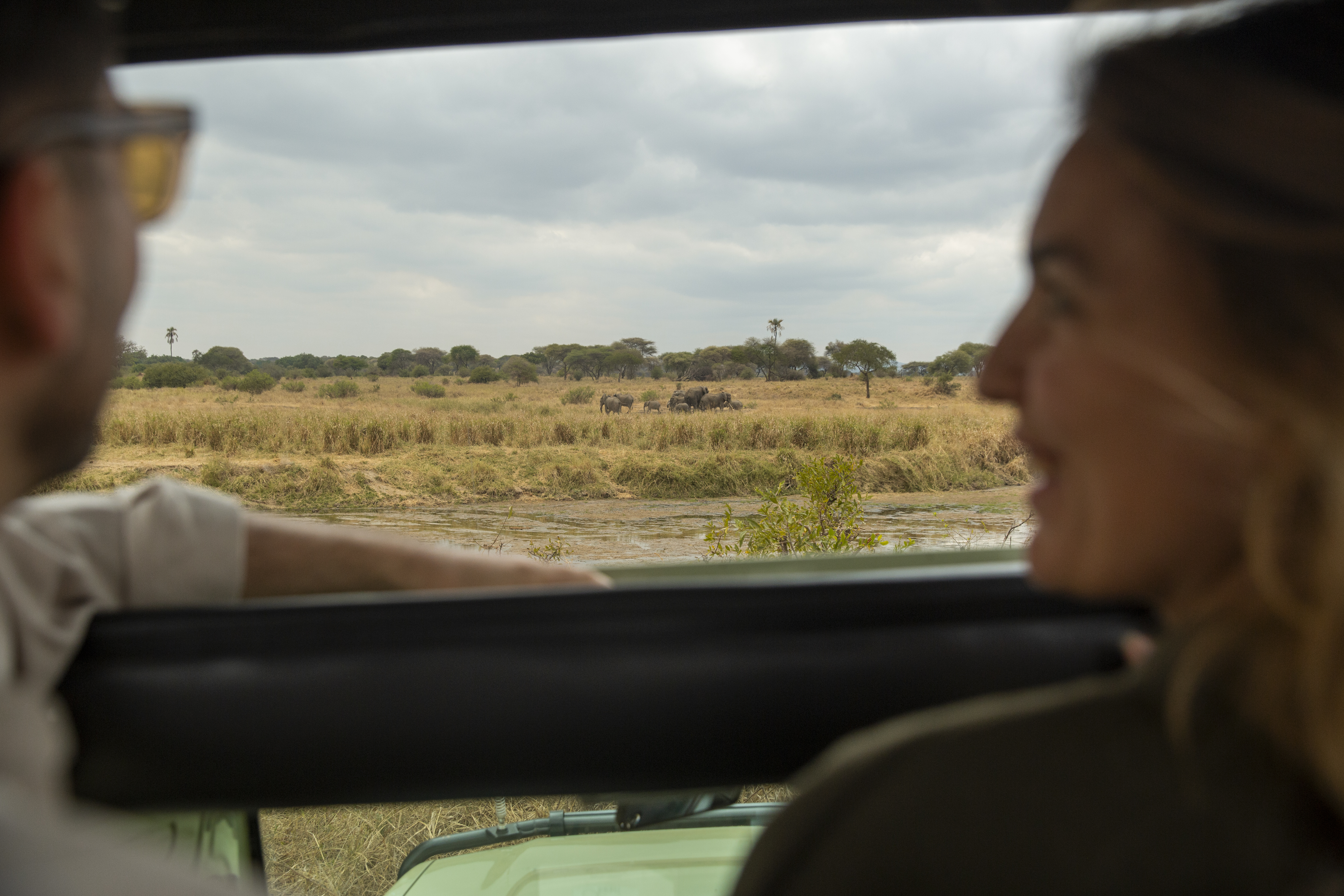 a man and woman looking out a window at a field of animals