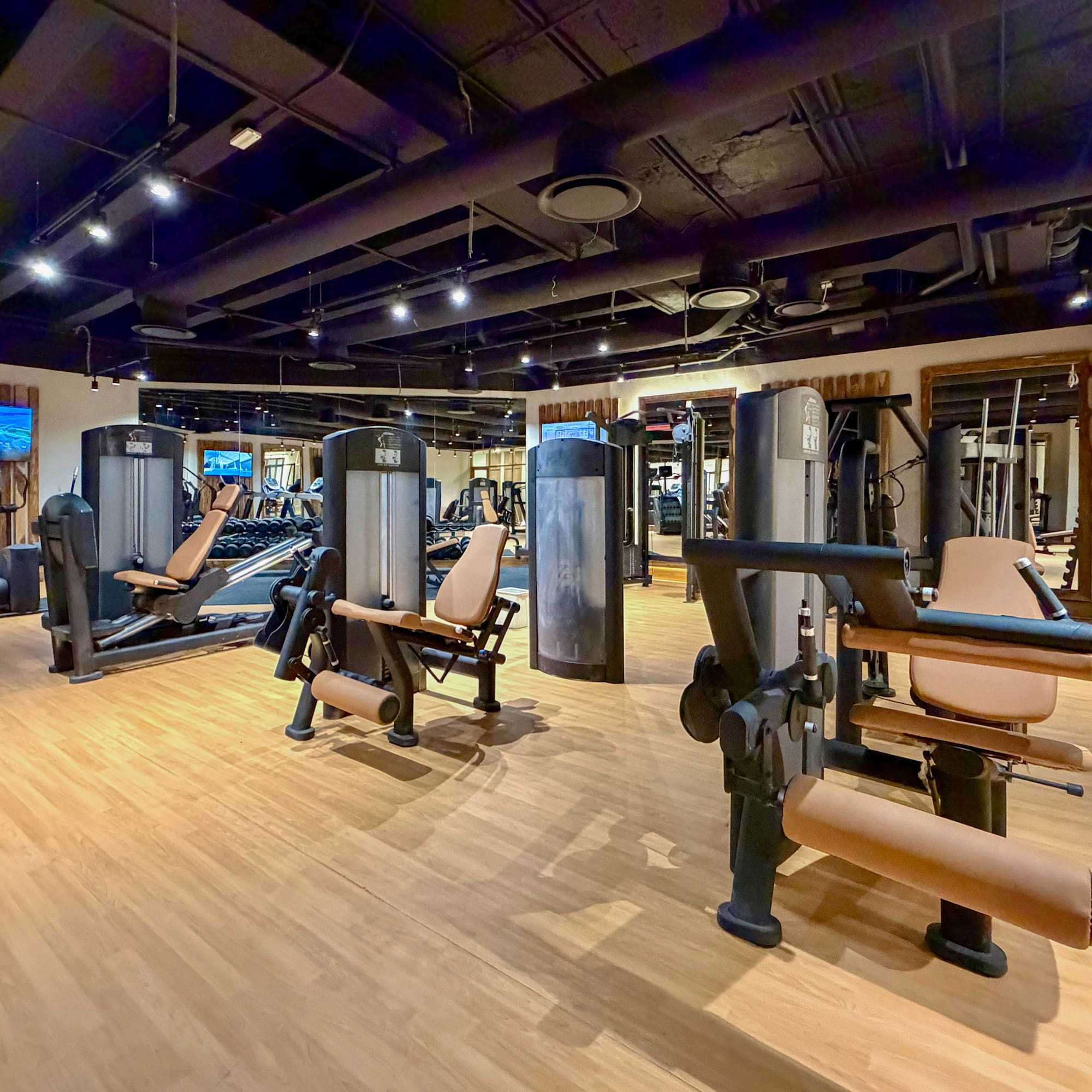 Modern gym interior with various strength training machines and light wooden floor.