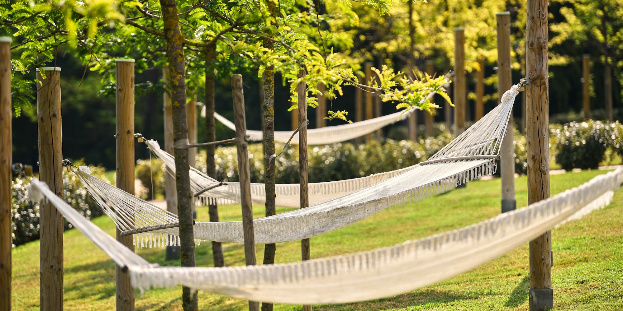 hammocks lined up in a row on a grassy area with trees and bushes