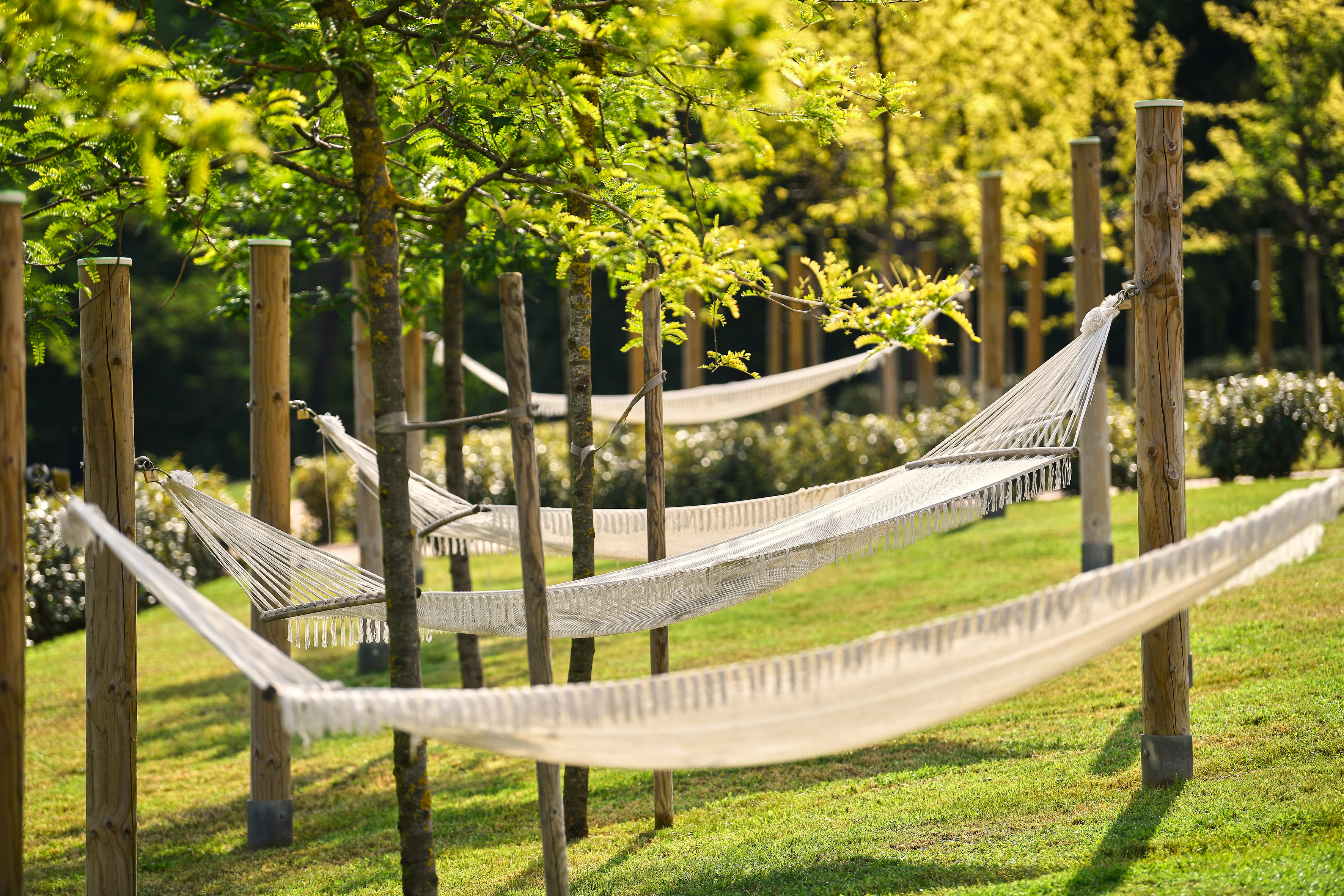 hammocks lined up in a row on a grassy area with trees and bushes