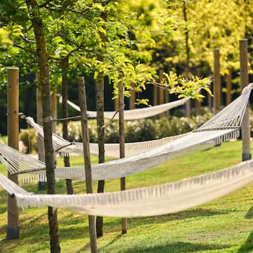 hammocks lined up in a row on a grassy area with trees and bushes