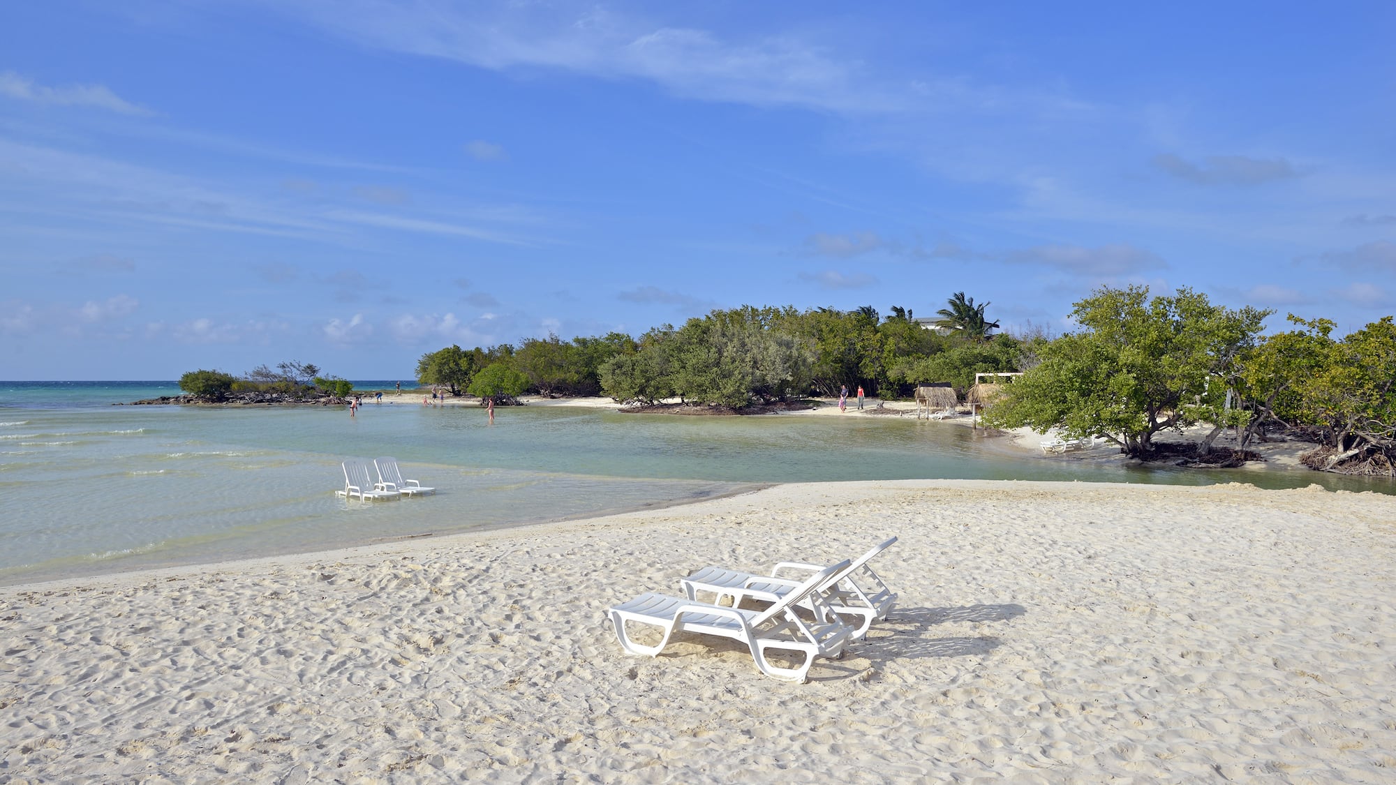 a beach with chairs and water