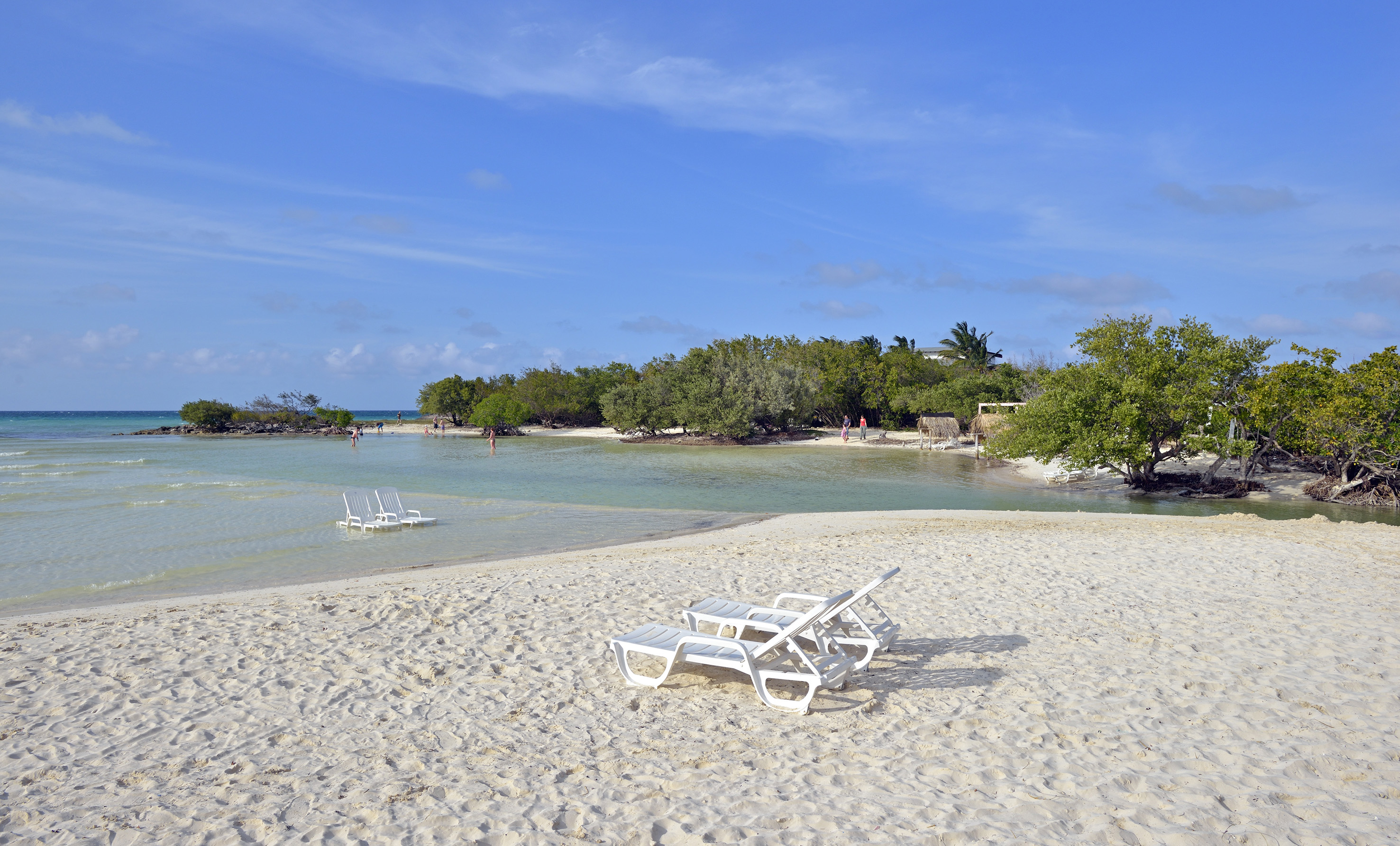 a beach with chairs and water